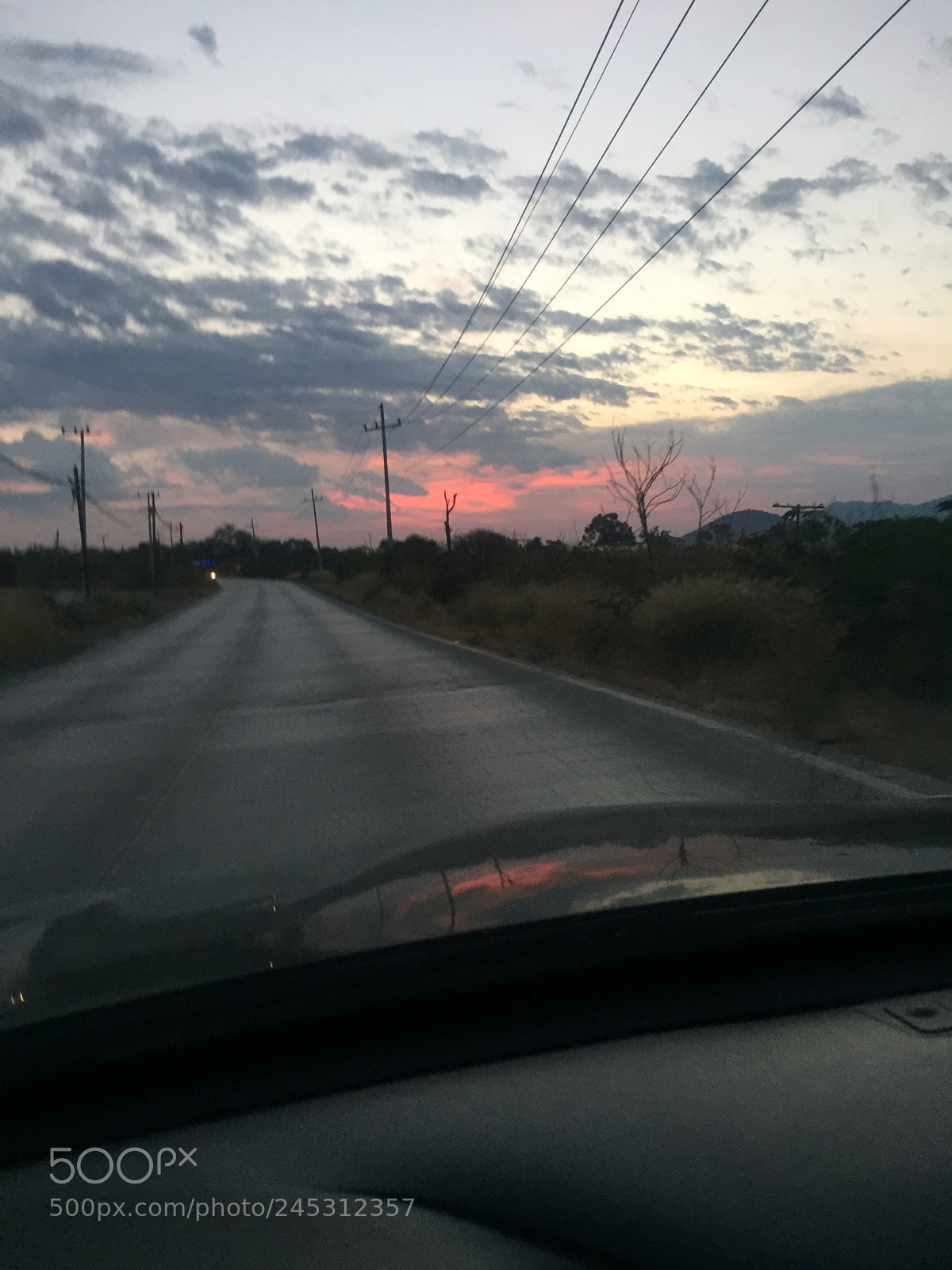 Apple iPhone 6 sample photo. Untitled photography