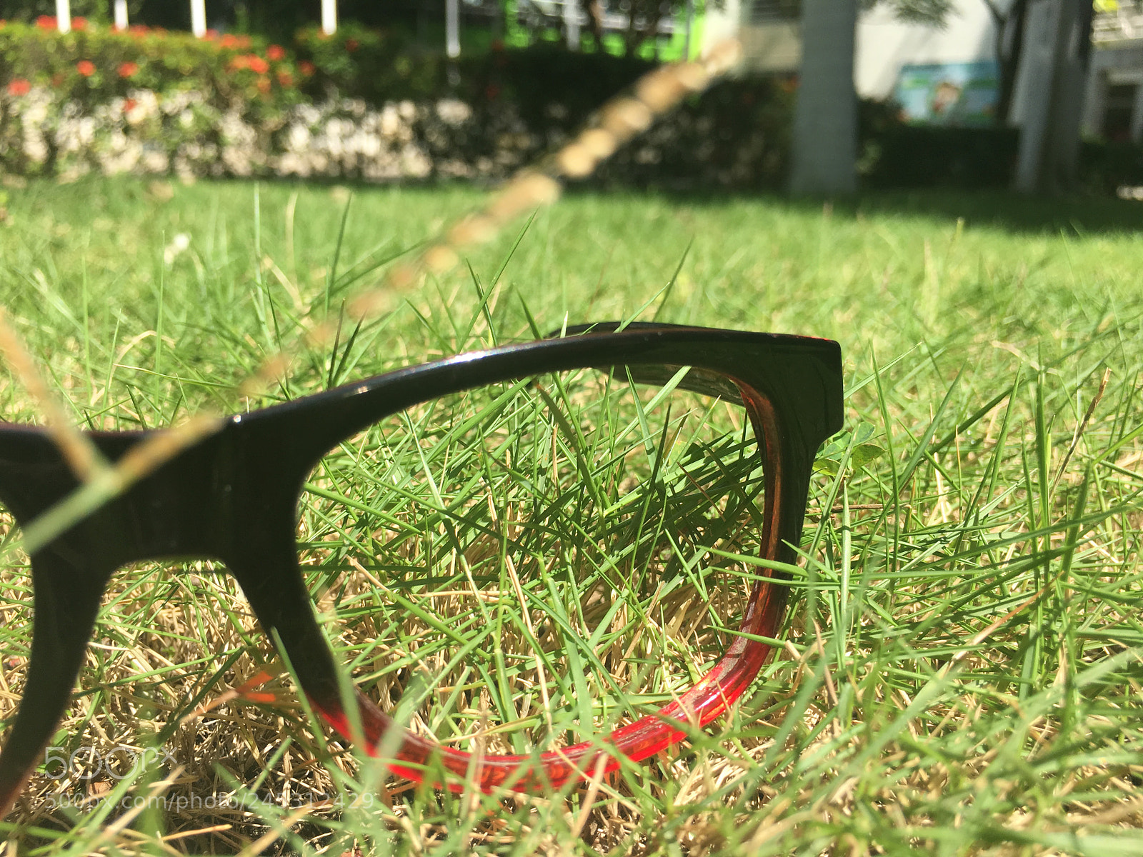 Apple iPhone 6s Plus sample photo. #detalledeobjeto photography