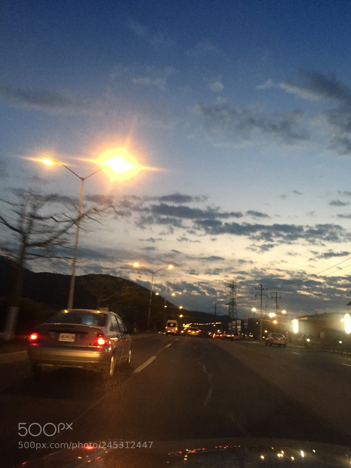 Apple iPhone 6 sample photo. Untitled photography