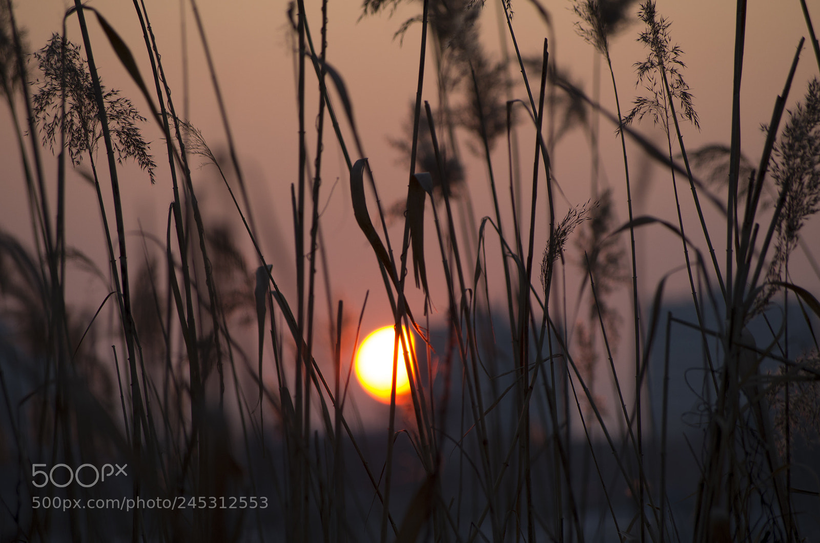 Pentax K-5 sample photo. Burning bounce photography