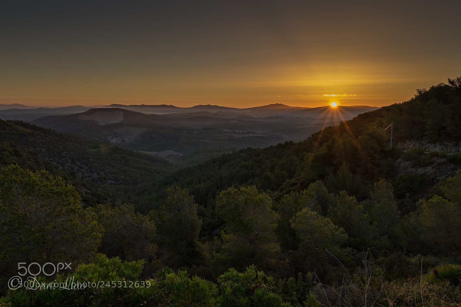 Sony a7 II sample photo. Parque natural de ol photography