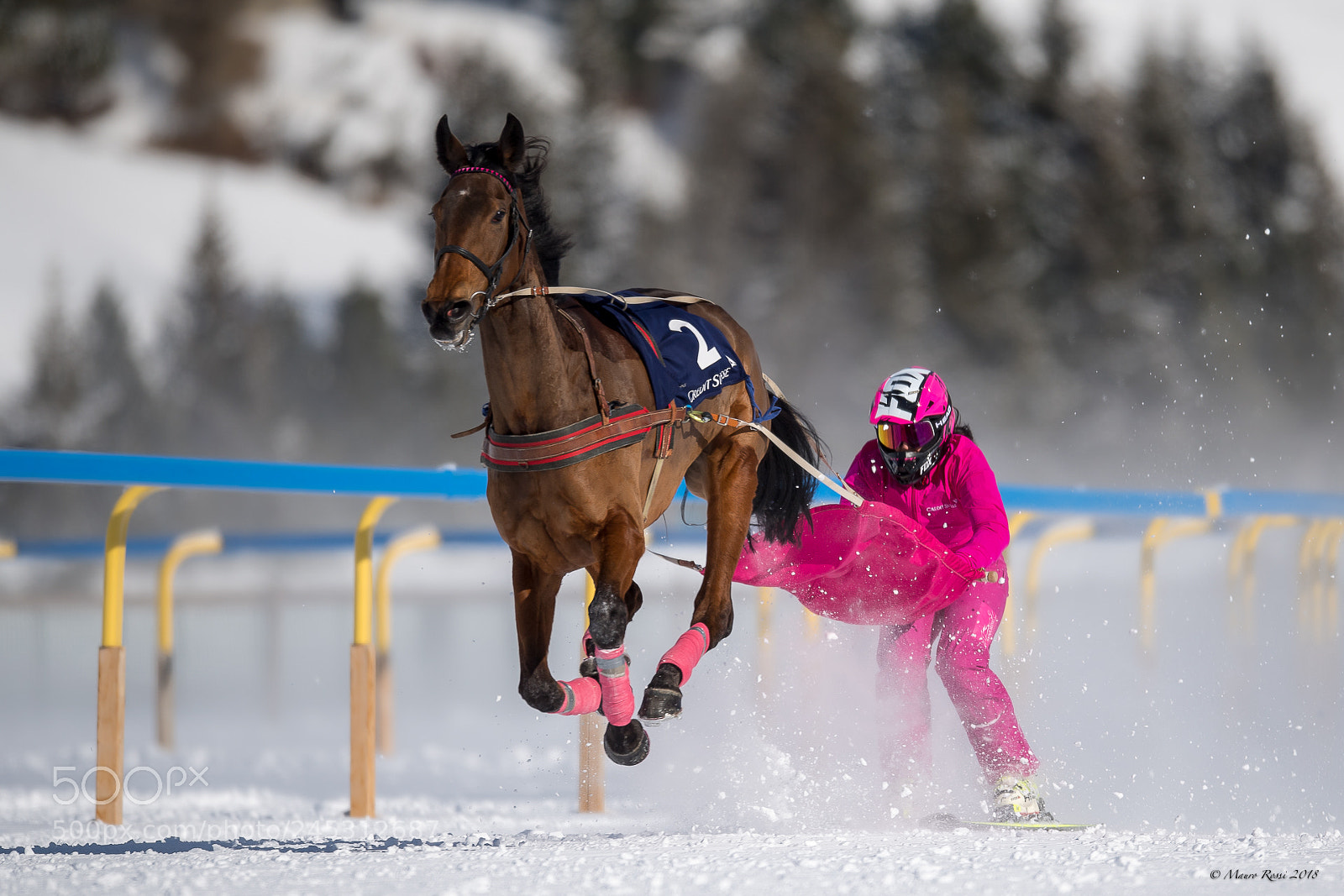 Nikon D5 sample photo. White turf st. moritz 208 photography
