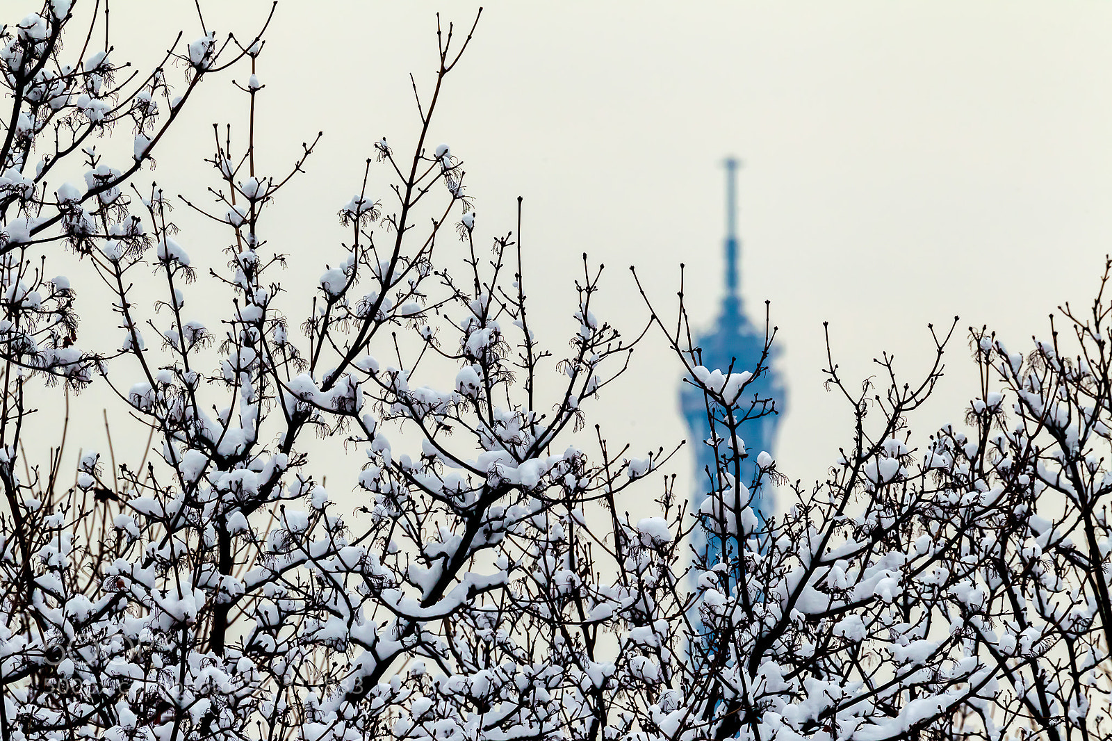 Canon EOS-1D Mark IV sample photo. Jardins des tuileries / paris photography