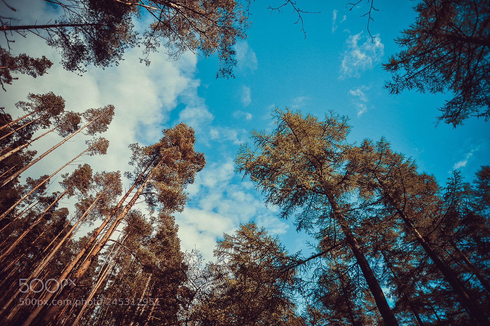 Nikon D300S sample photo. Uk photography