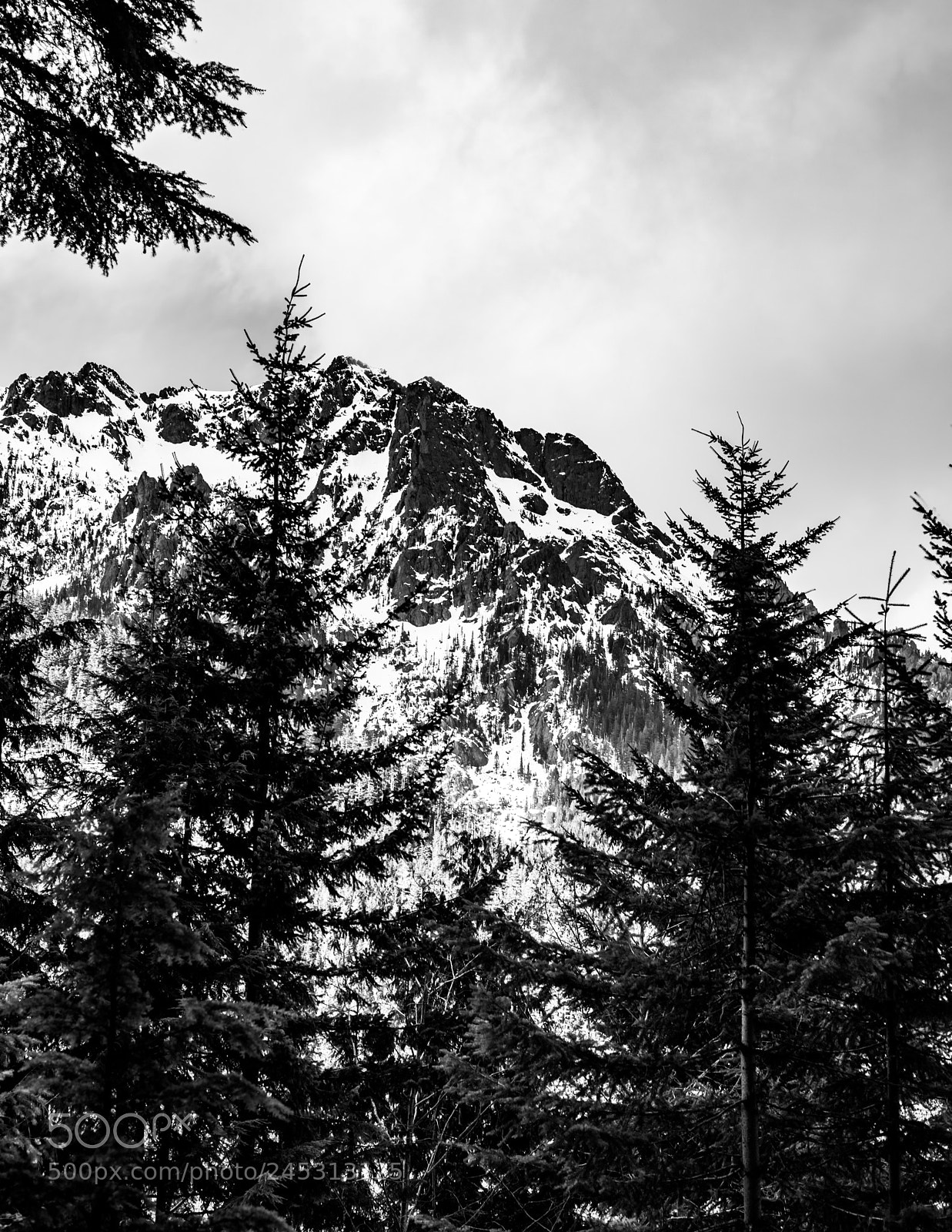 Nikon D800 sample photo. A gap in the photography