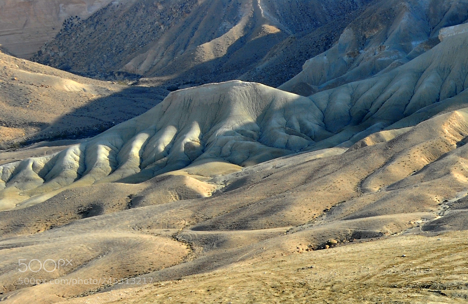 Nikon D200 sample photo. Negev, the qing valley photography