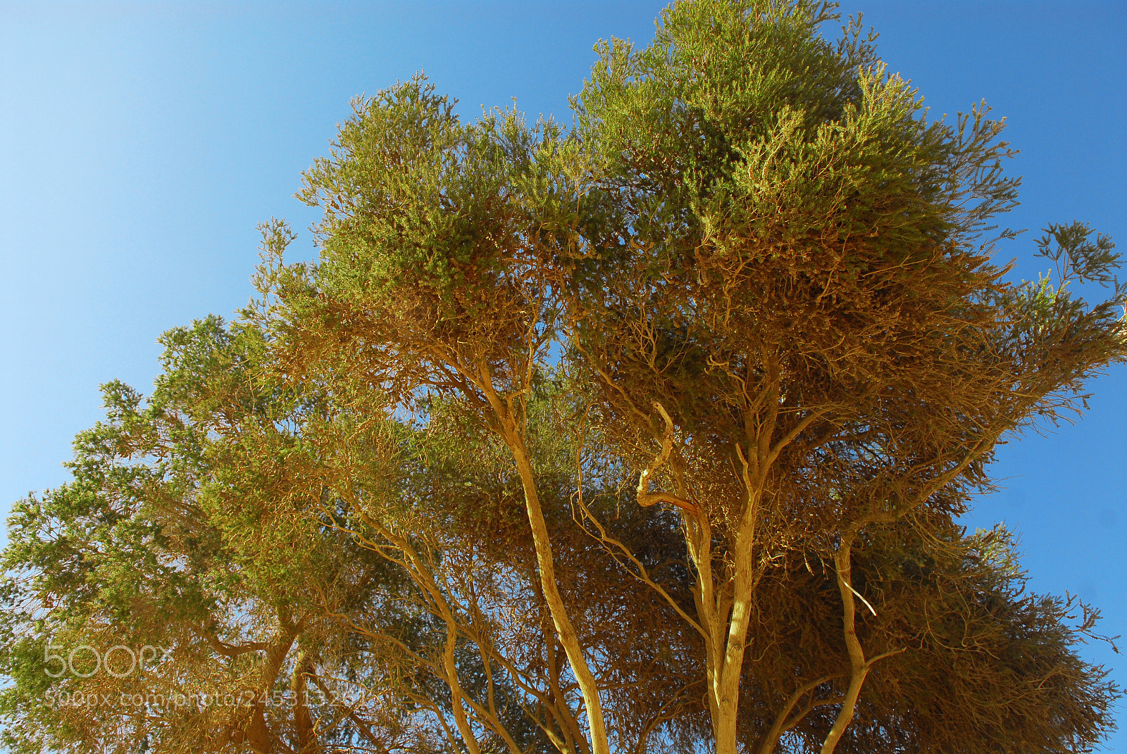 Nikon D200 sample photo. Negev, the qing valley photography