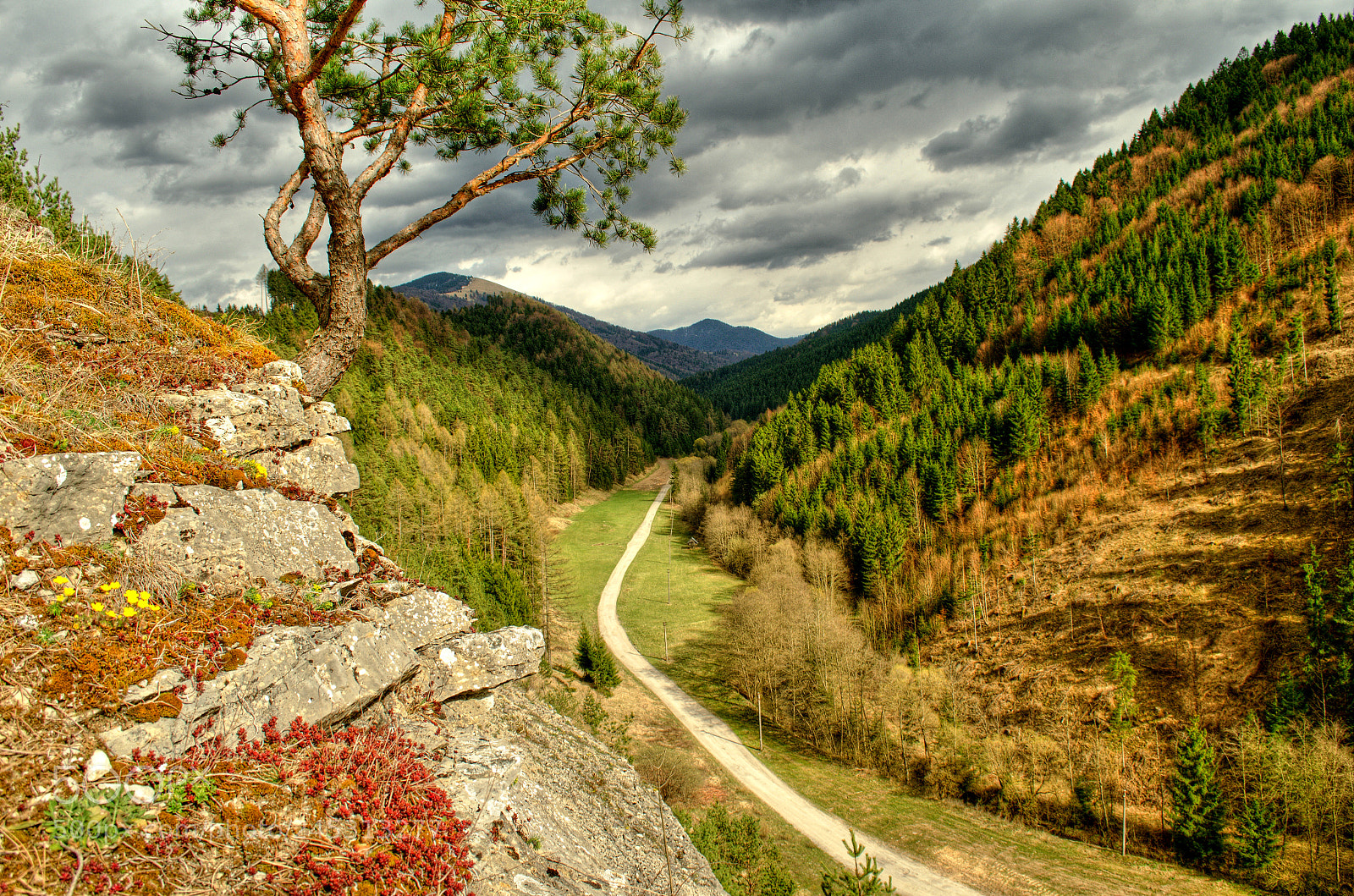 Nikon D5100 sample photo. Mountain path photography