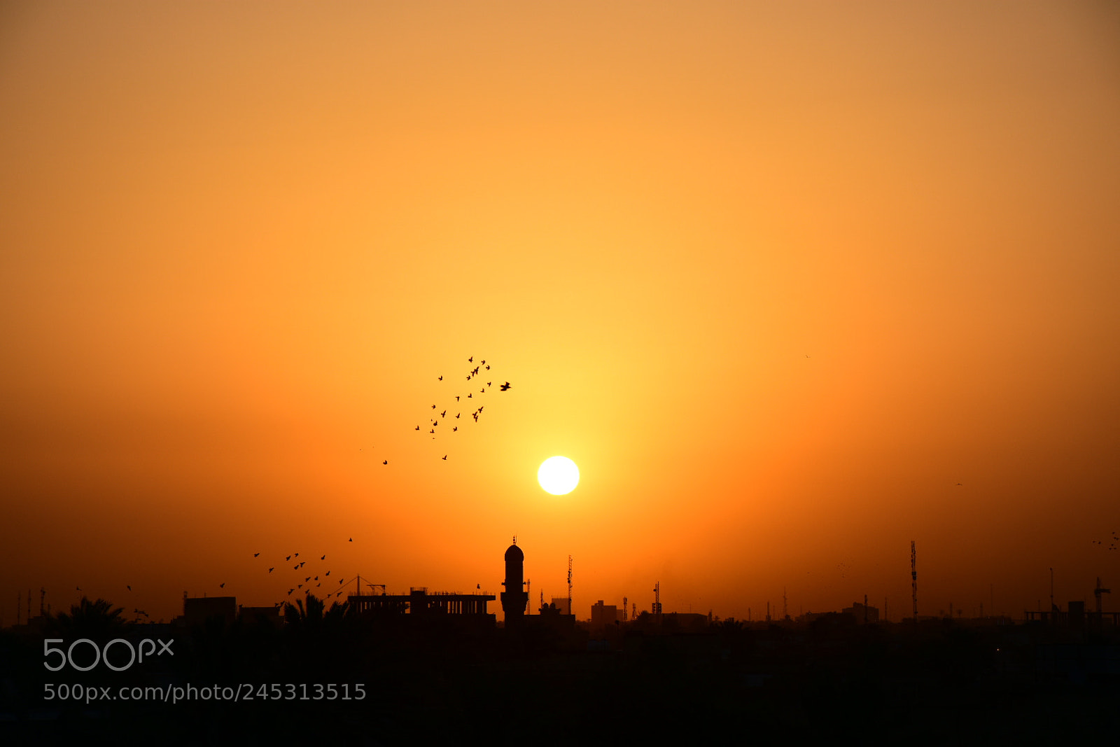Nikon D7200 sample photo. Untitled photography