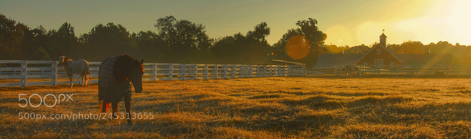 Nikon D200 sample photo. Untitled photography