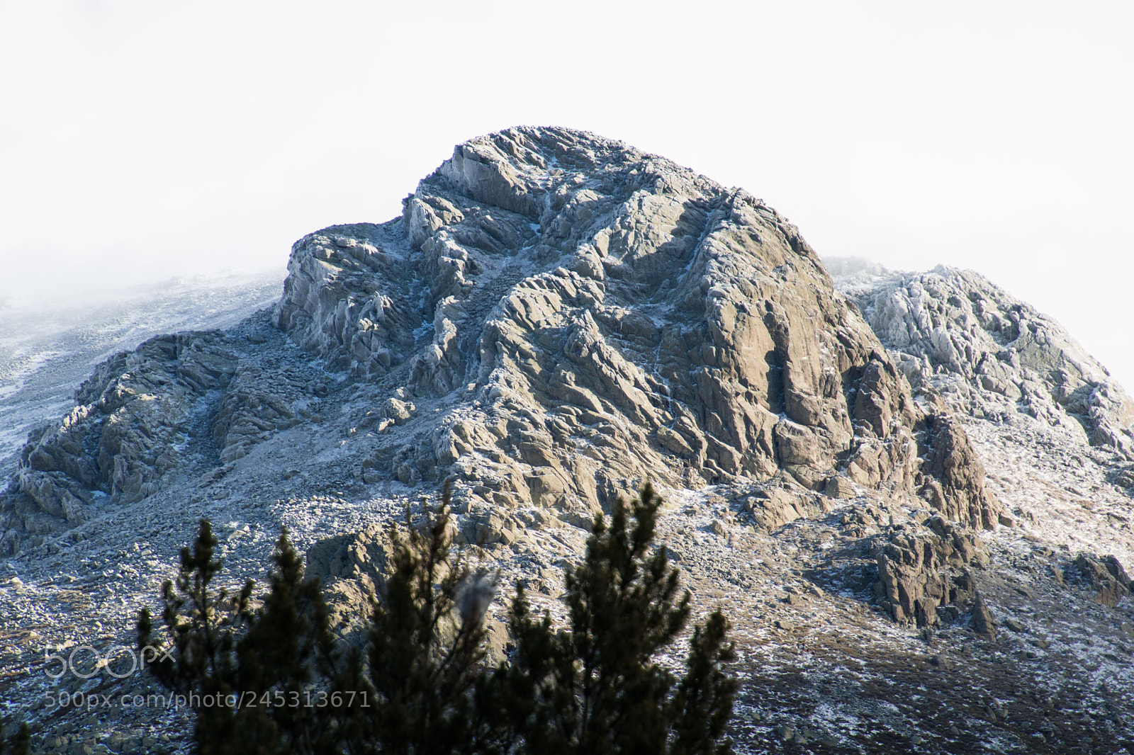 Canon EOS 760D (EOS Rebel T6s / EOS 8000D) sample photo. La maliciosa photography