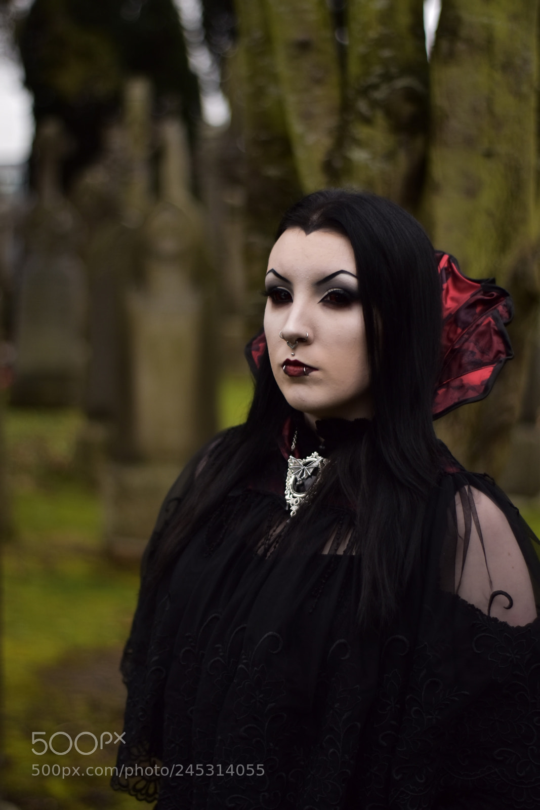 Nikon D5500 sample photo. Pale photography