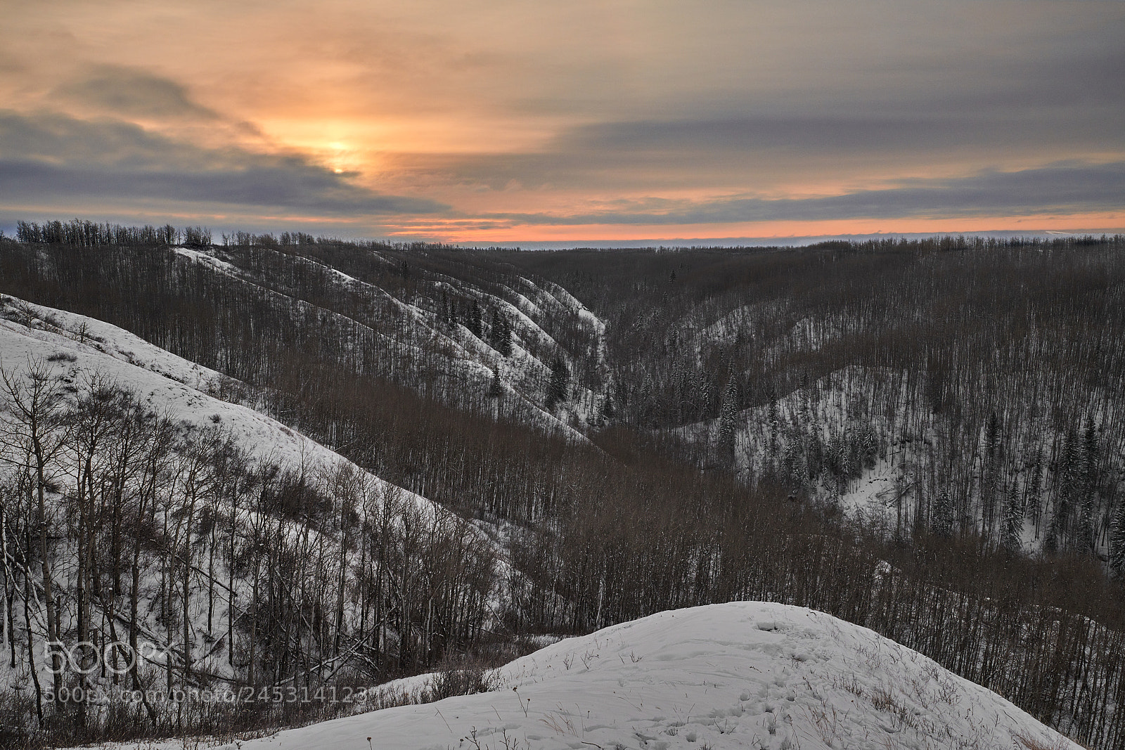 Nikon D850 sample photo. Morning small river valley photography