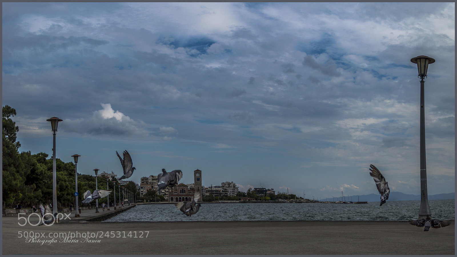 Nikon D3200 sample photo. Peristeria photography