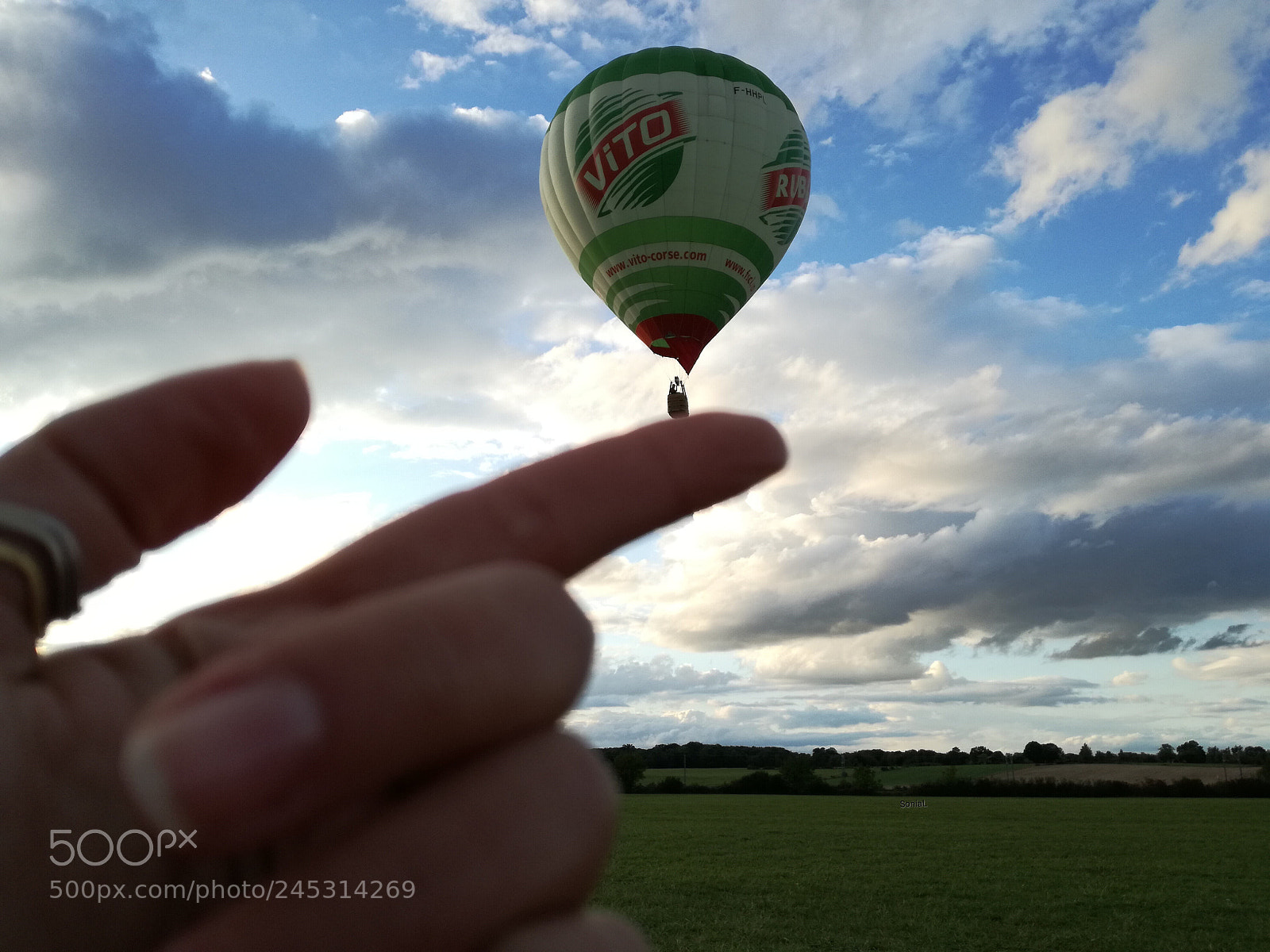 HUAWEI P9 LITE sample photo. Flying.. dreaming.. living!! photography