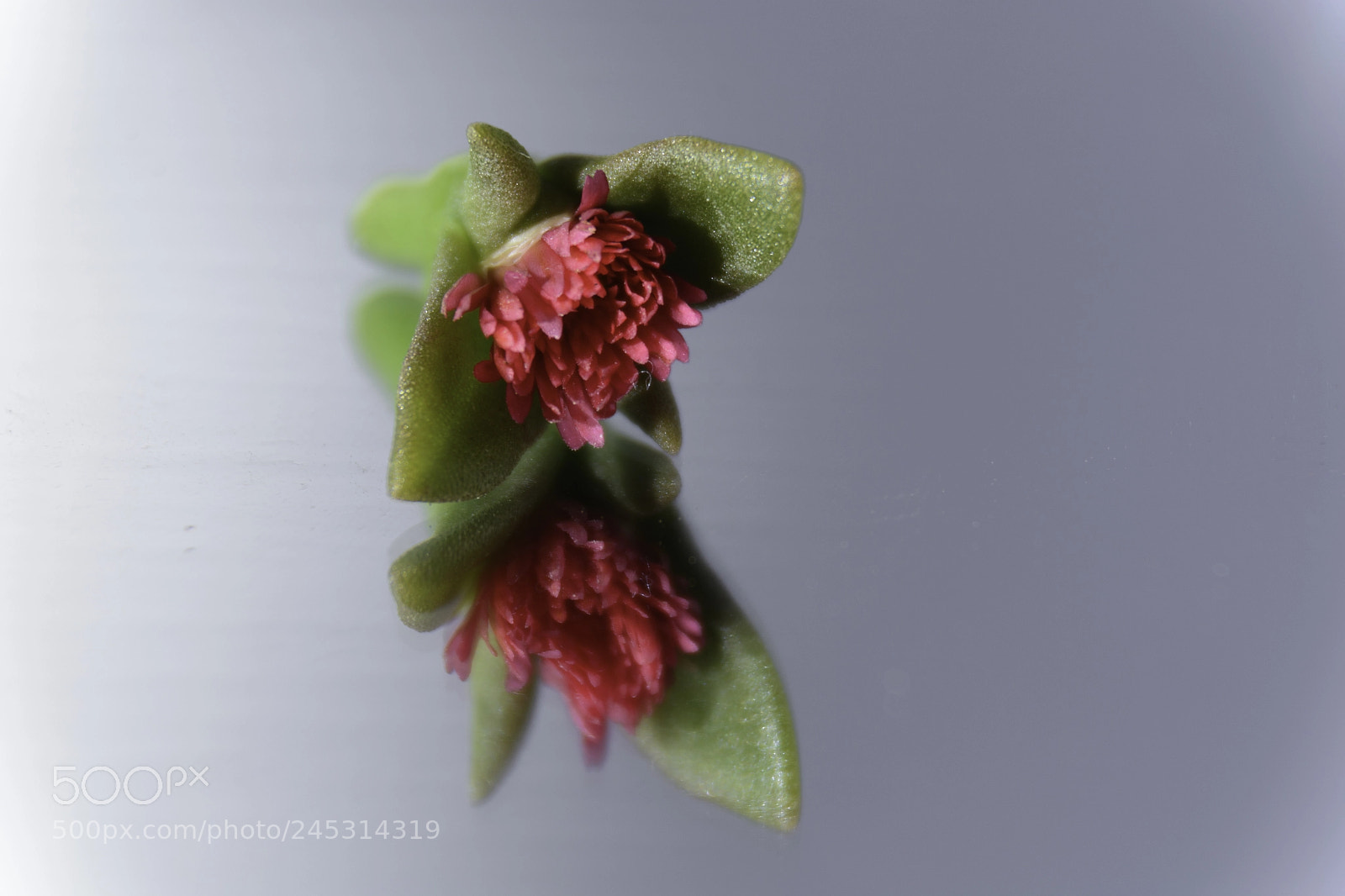 Nikon D7100 sample photo. Minimal... photography