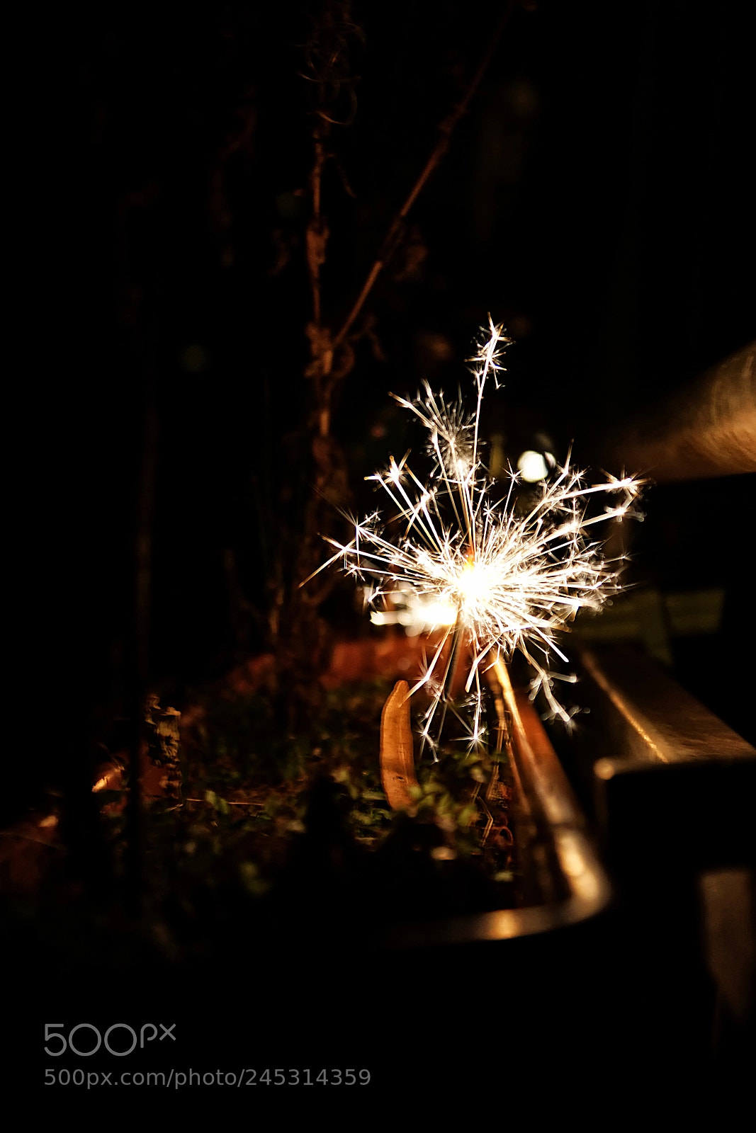 Sony DT 16-50mm F2.8 SSM sample photo. Silvester im blumenkasten photography