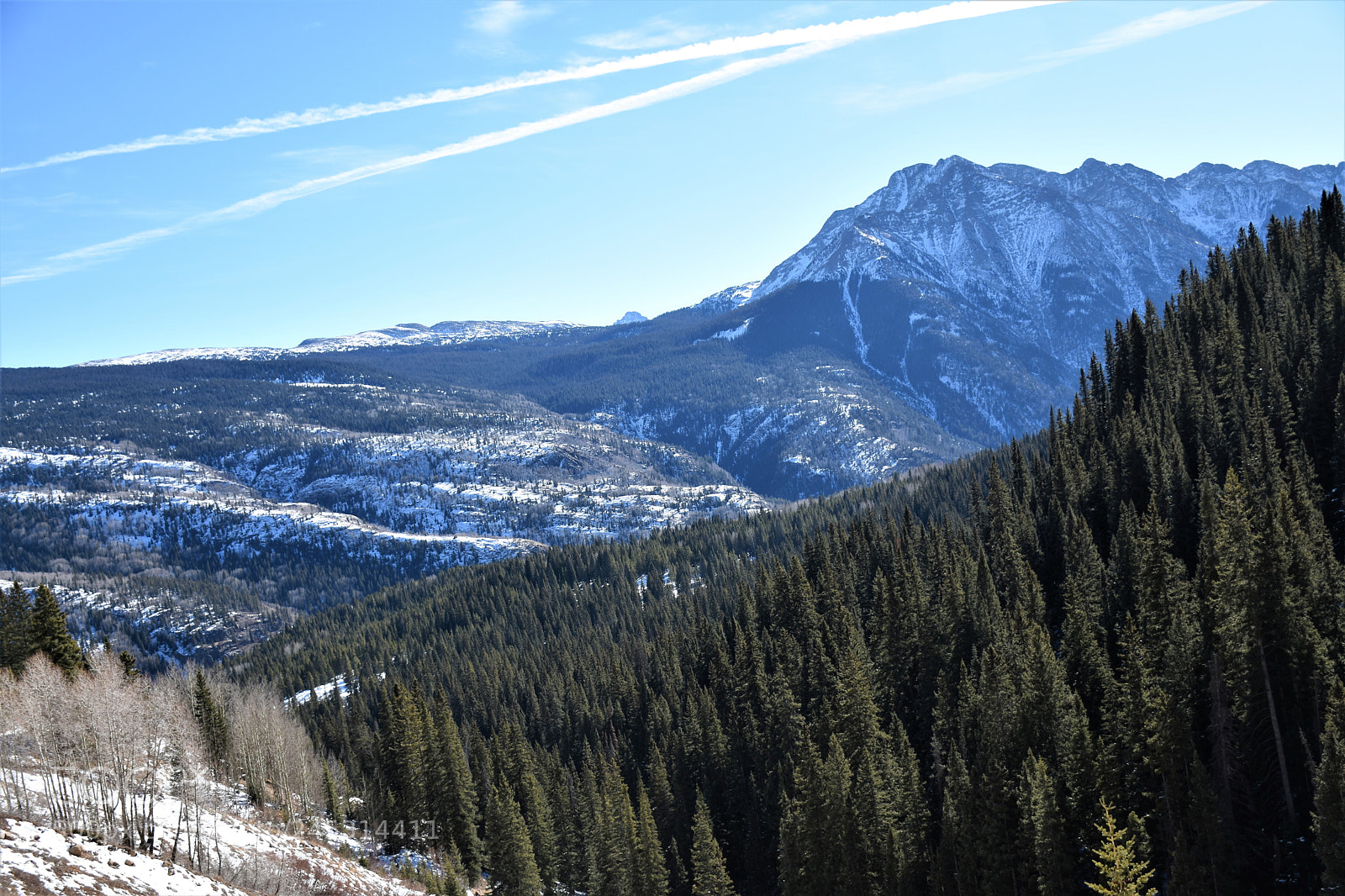 Nikon D7200 sample photo. Road to silverton photography