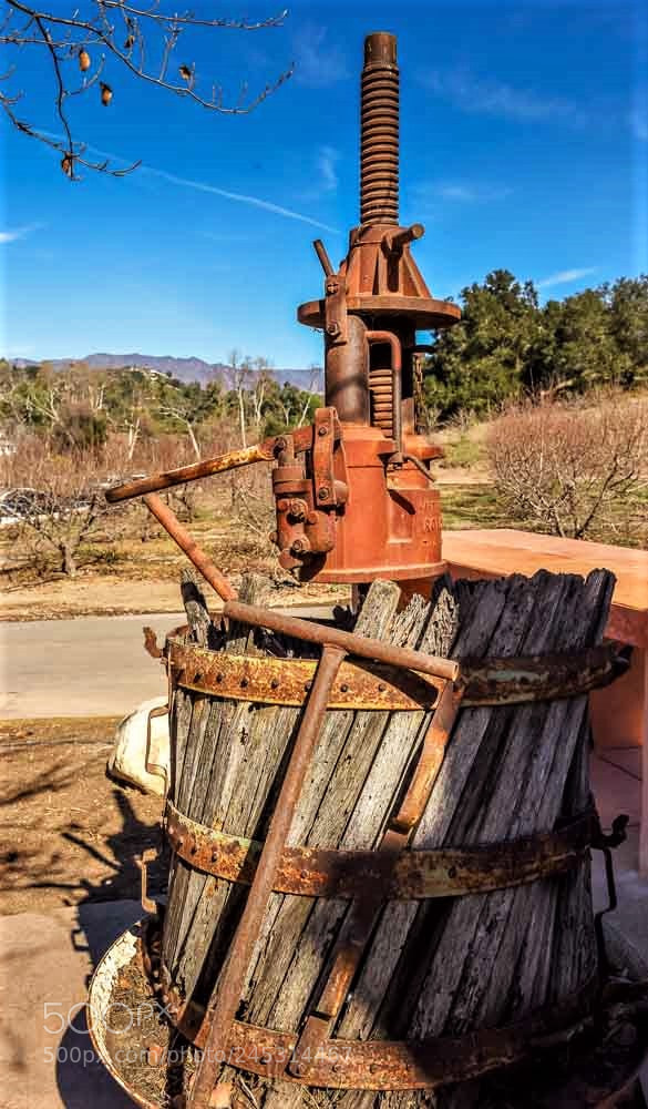 Nikon D810 sample photo. The wine press! photography