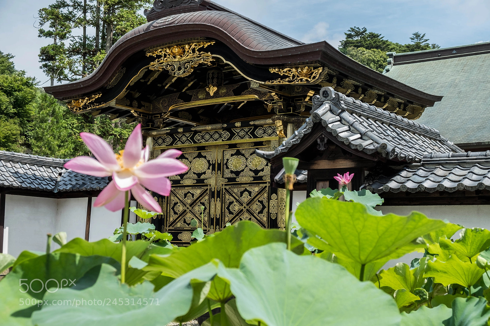 Fujifilm X-E2S sample photo. Templos de japón photography