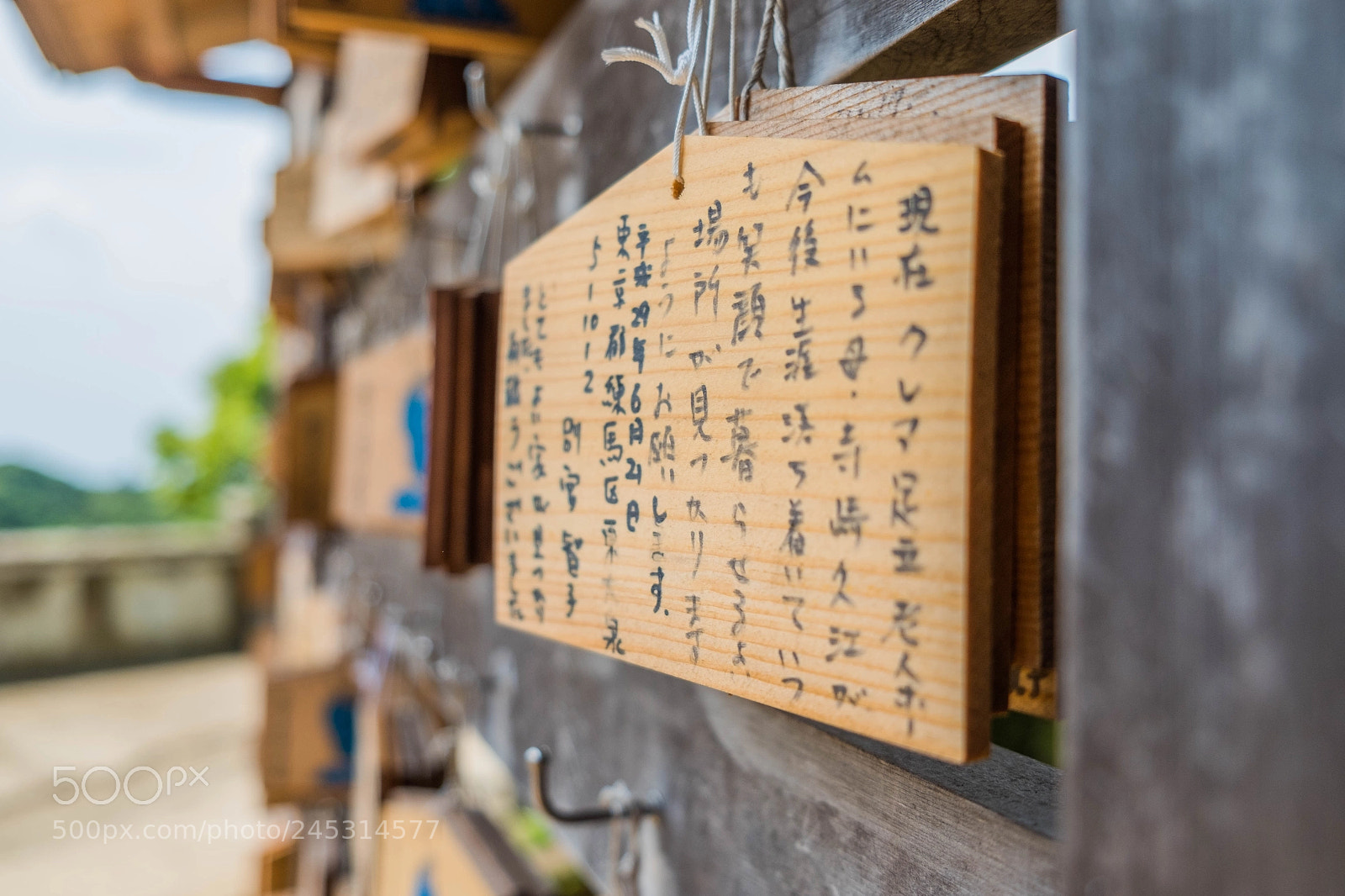 Fujifilm X-E2S sample photo. Templos de japón photography