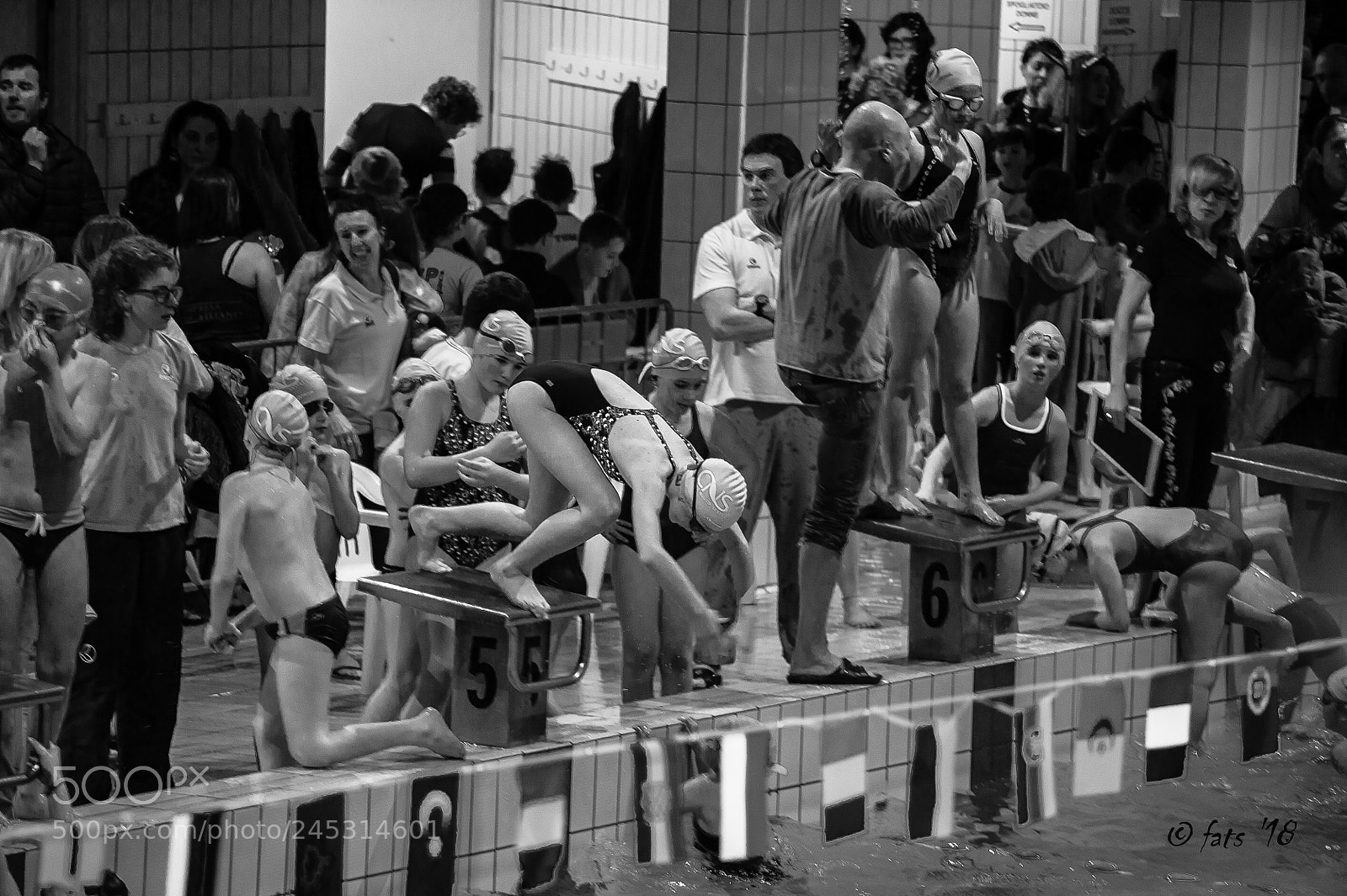Nikon D700 sample photo. Swimming race photography