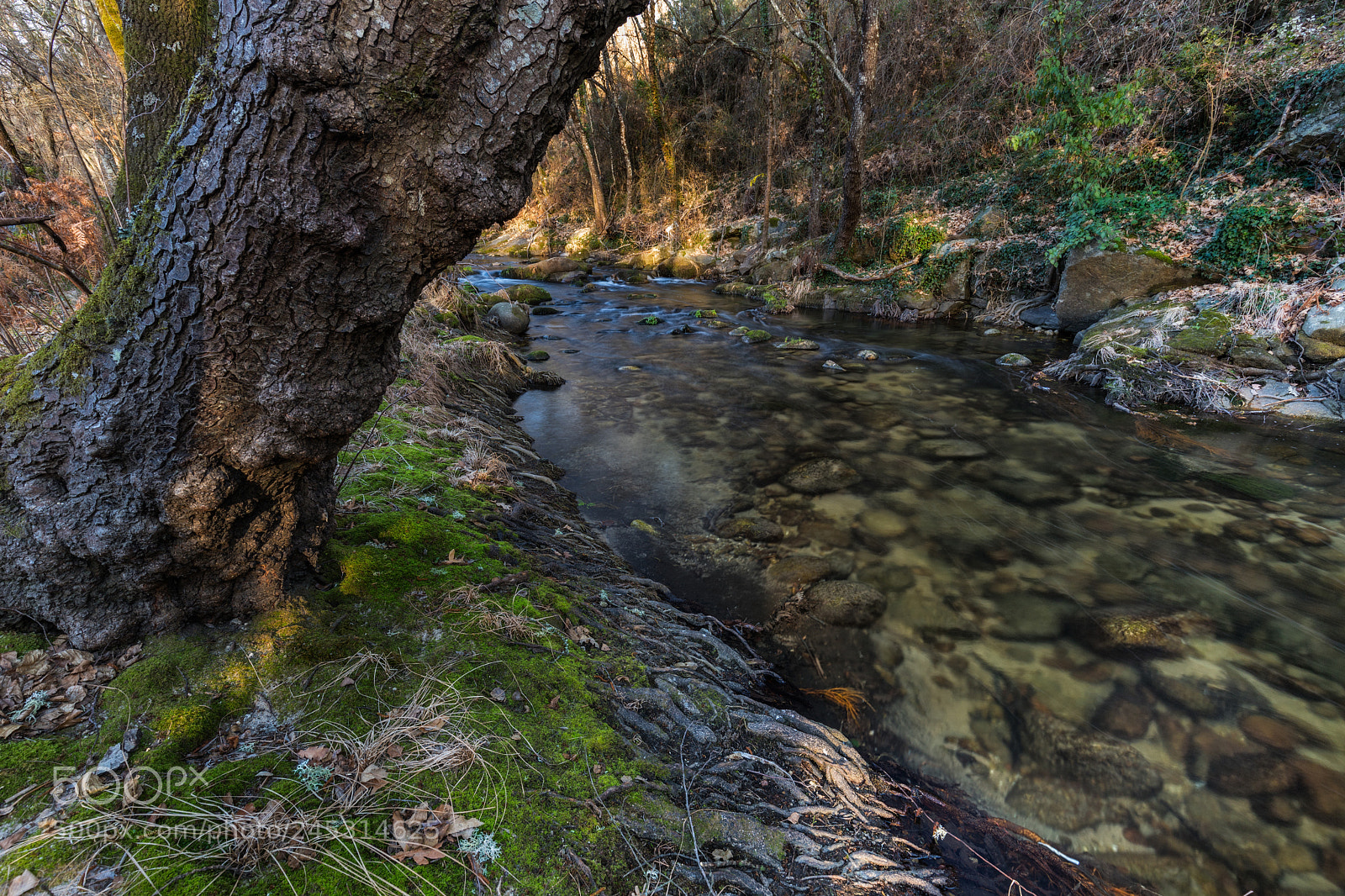 Canon EOS 6D Mark II sample photo. Garganta de pedro chate photography