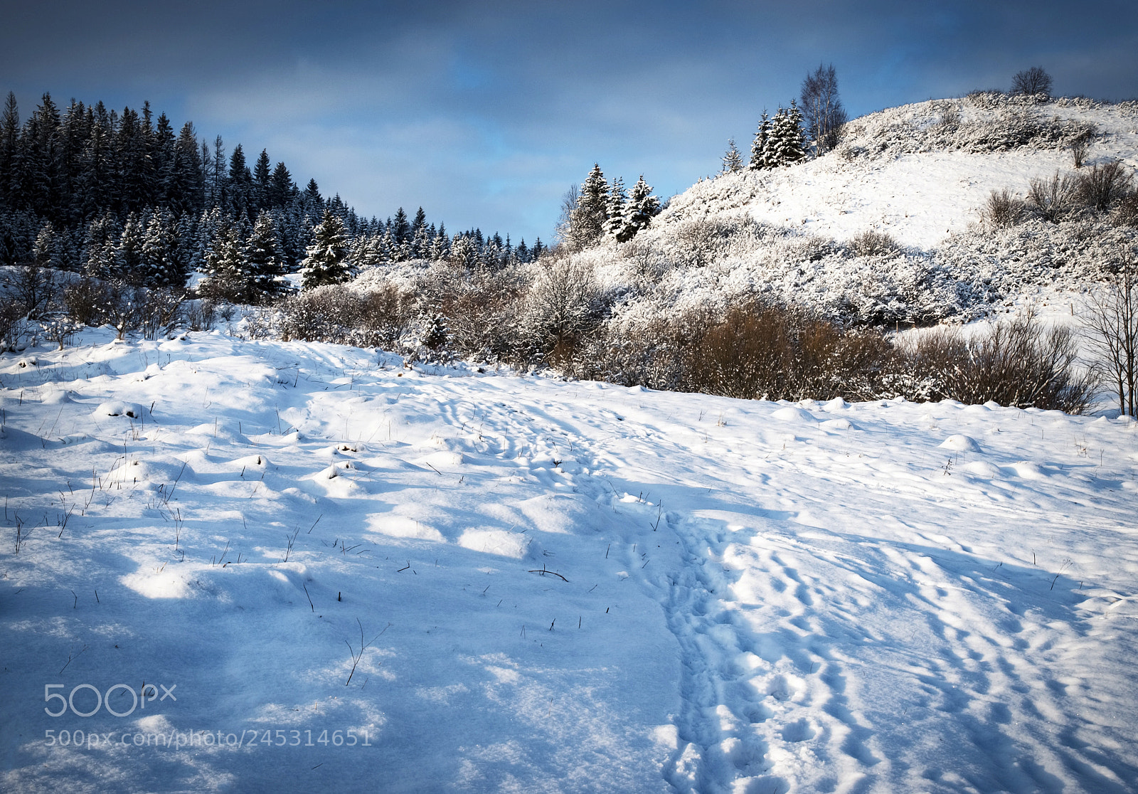 Nikon D5500 sample photo. Snowy landscape with hills photography