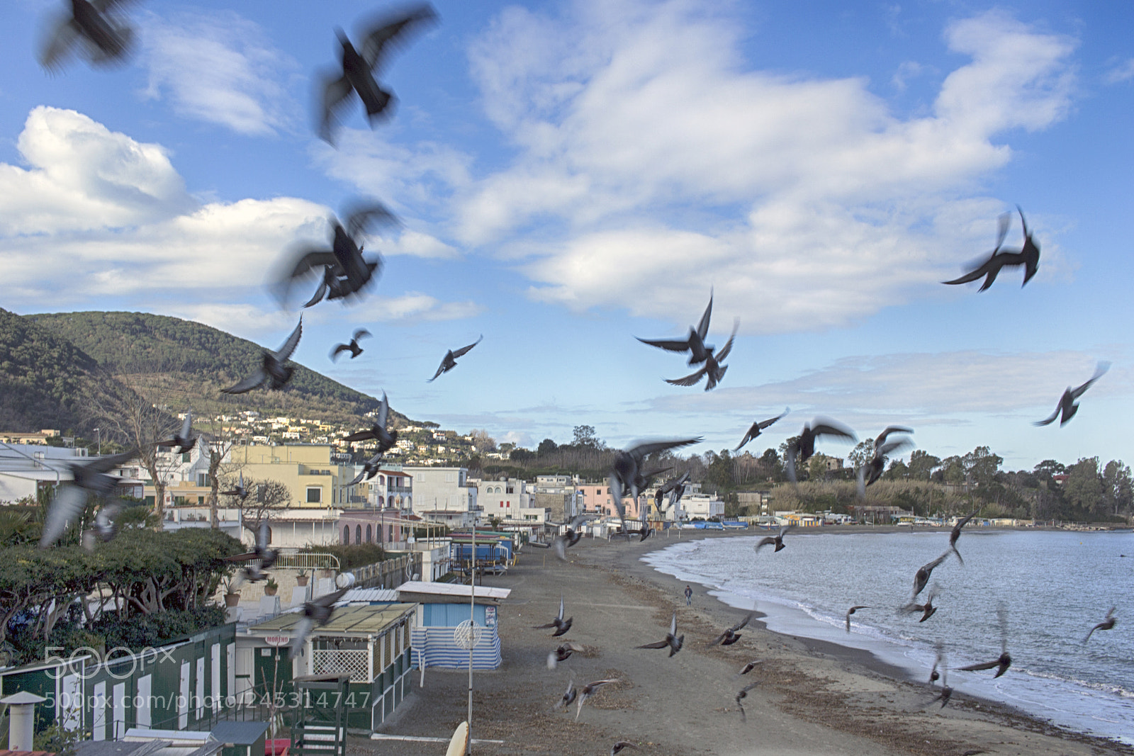 Canon EOS 60D sample photo. Uccelli photography