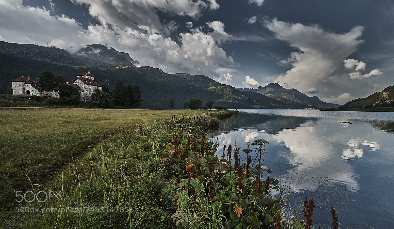 Sony a7 II sample photo. Summer in engadin photography