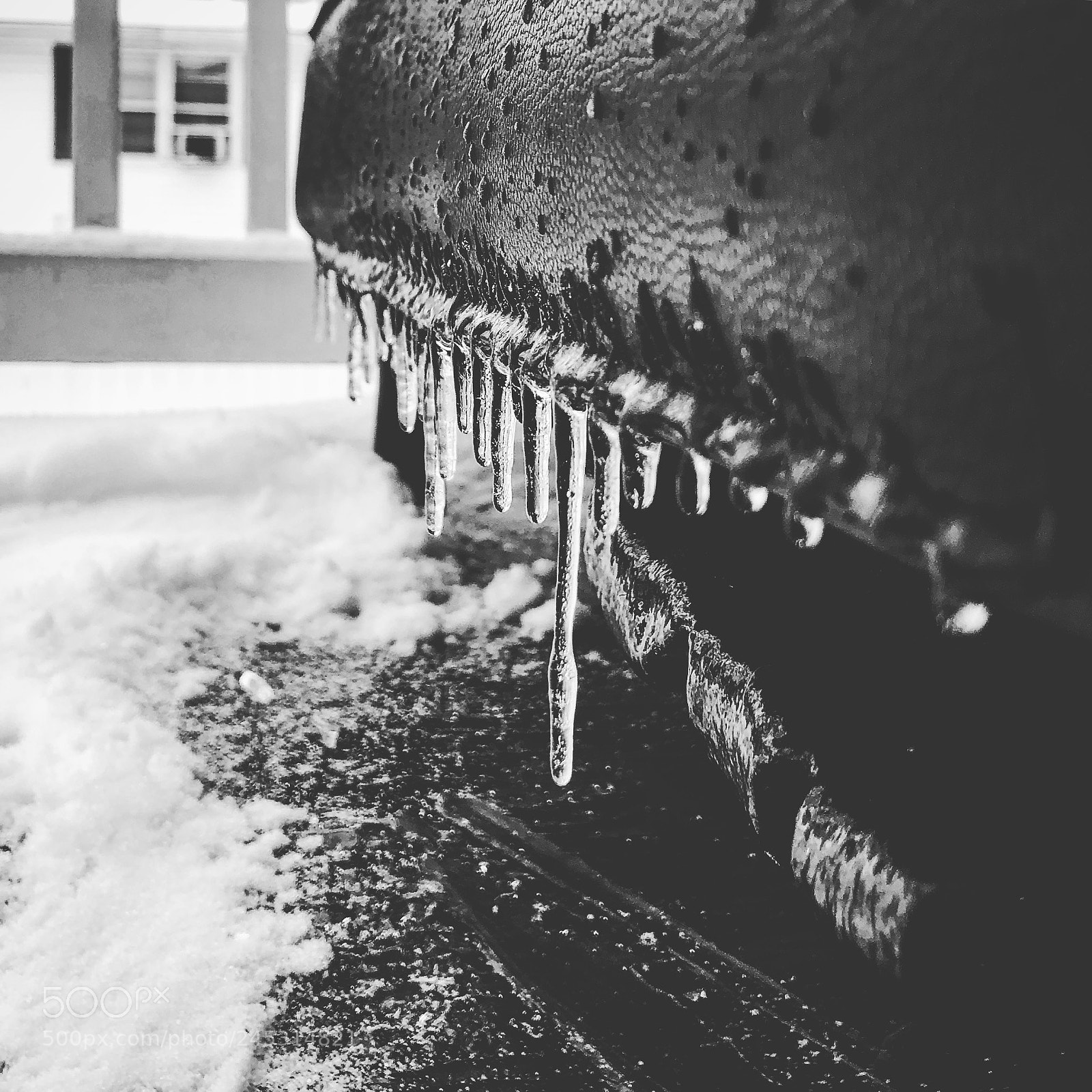 Apple iPhone 8 sample photo. Frozen photography