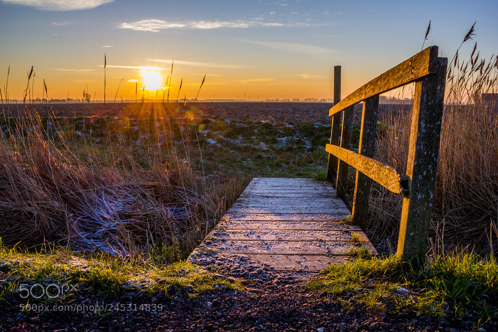 Canon EOS 550D (EOS Rebel T2i / EOS Kiss X4) sample photo. Small bridge at sunrise photography
