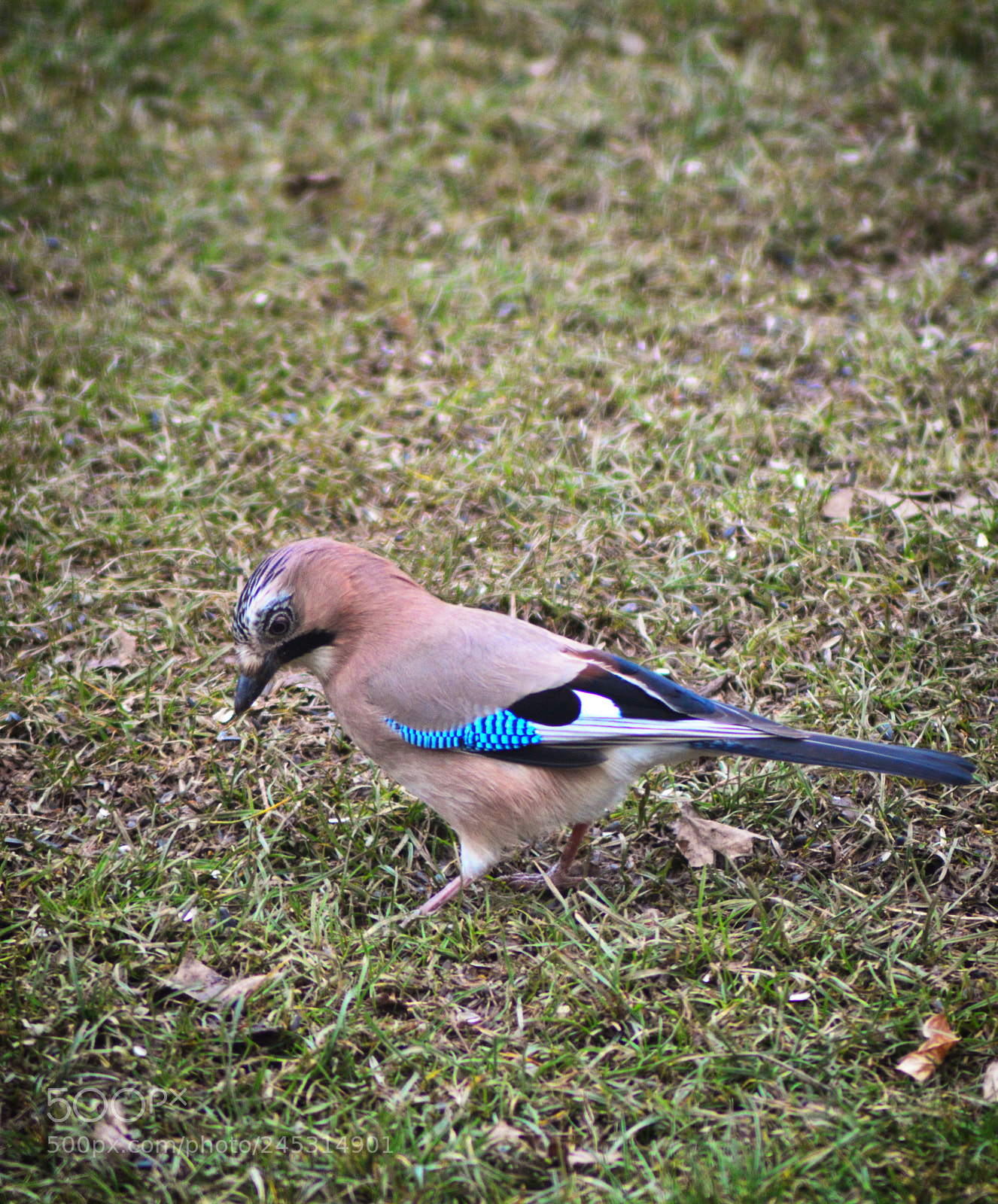 Nikon D3200 sample photo. Dsc photography