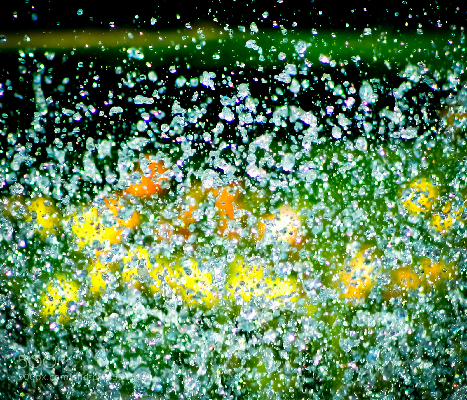 Canon EOS 350D (EOS Digital Rebel XT / EOS Kiss Digital N) sample photo. A fountain of tulips photography