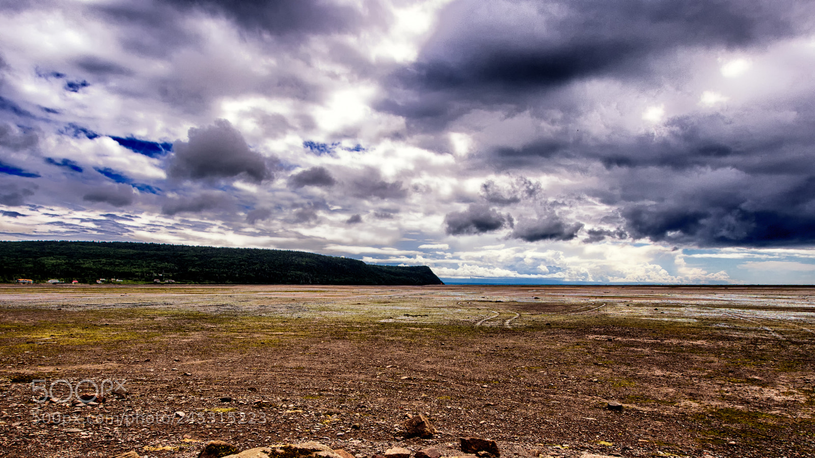 Olympus OM-D E-M5 sample photo. Tide's out (color) photography
