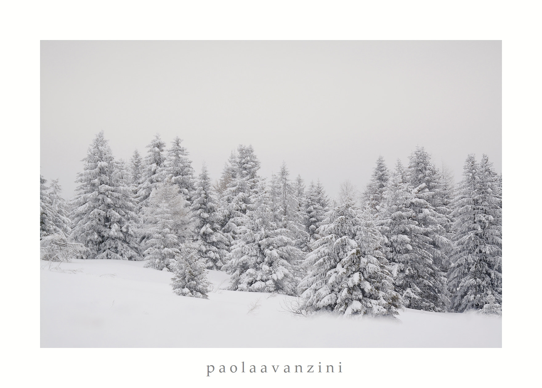 Nikon D7100 sample photo. Soffice photography