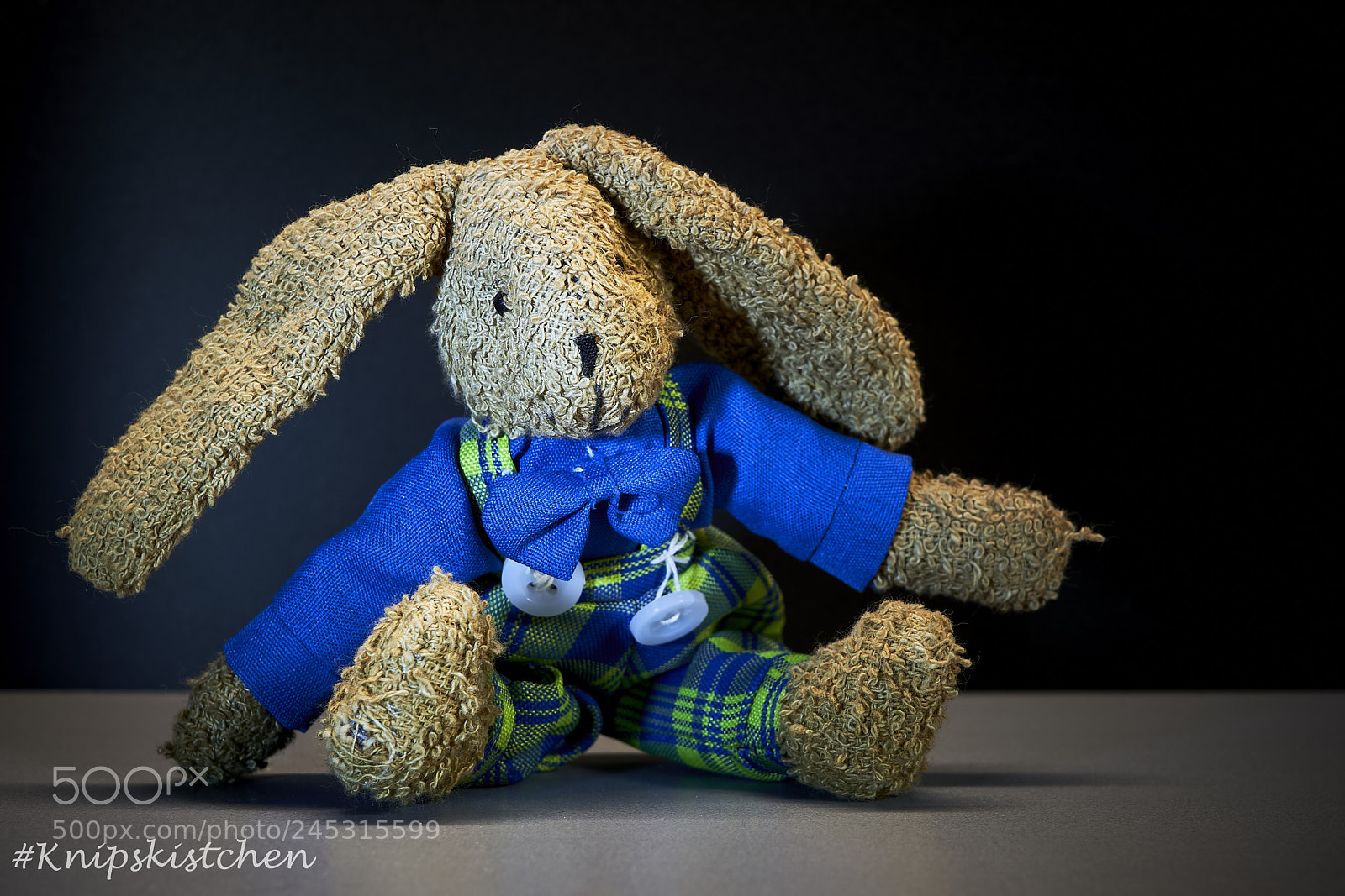 Sony a7R III sample photo. Bunny photography