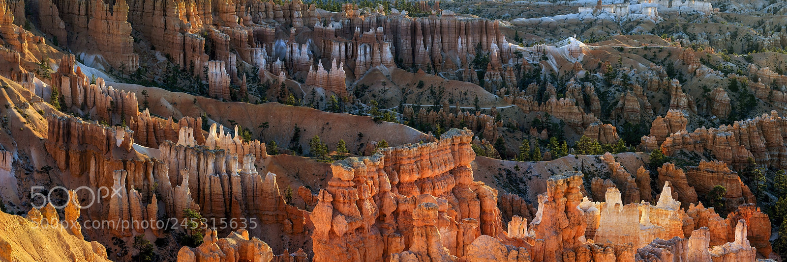 Nikon D800E sample photo. Bryce canyon, utah, usa photography