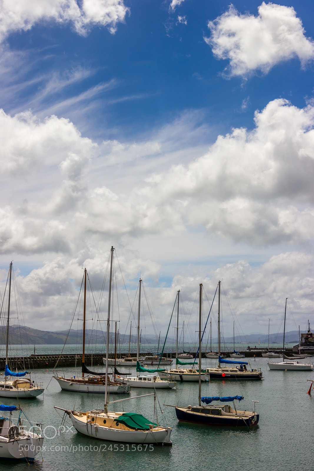 Canon EOS 550D (EOS Rebel T2i / EOS Kiss X4) sample photo. Wellington harbour photography