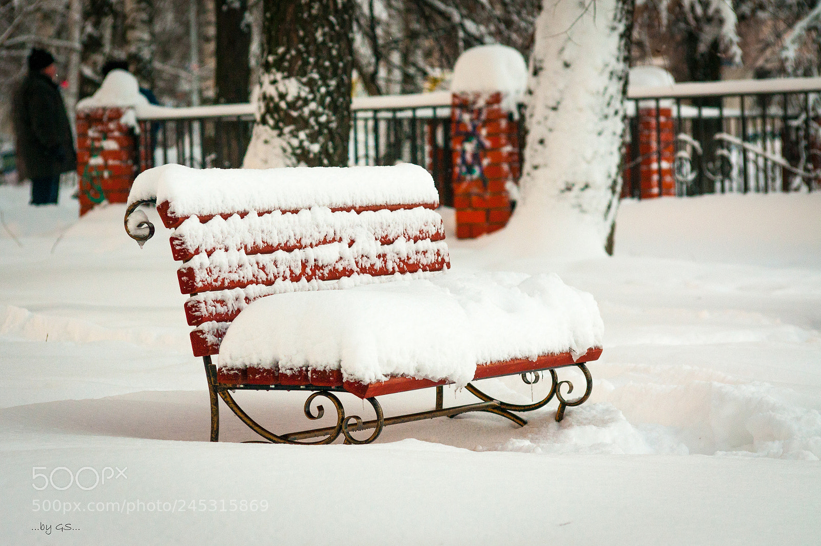 Nikon D300S sample photo. лавочка photography