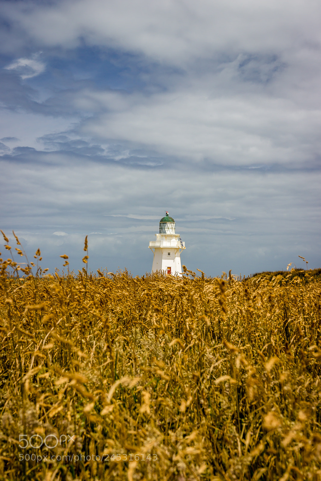 Canon EOS 550D (EOS Rebel T2i / EOS Kiss X4) sample photo. Lighthouse at waipapa point photography