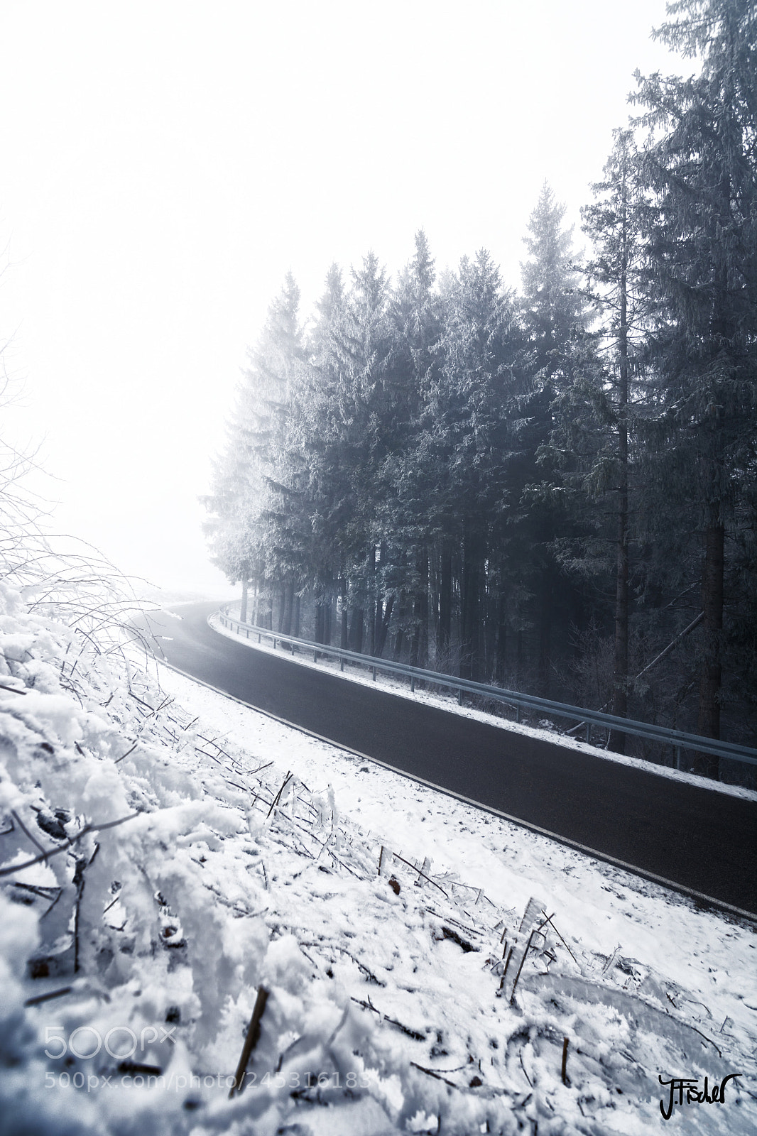 Nikon D7100 sample photo. Road through foggy forest photography