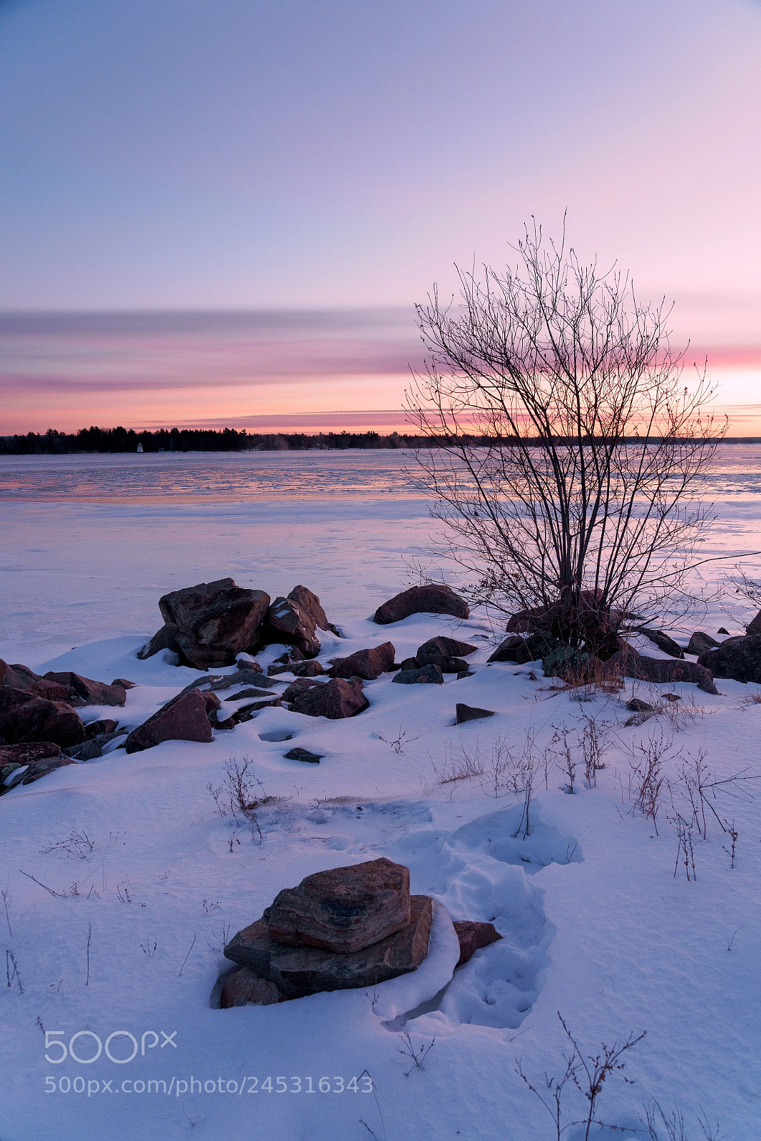 Sony a7R III sample photo. The violet shades of photography