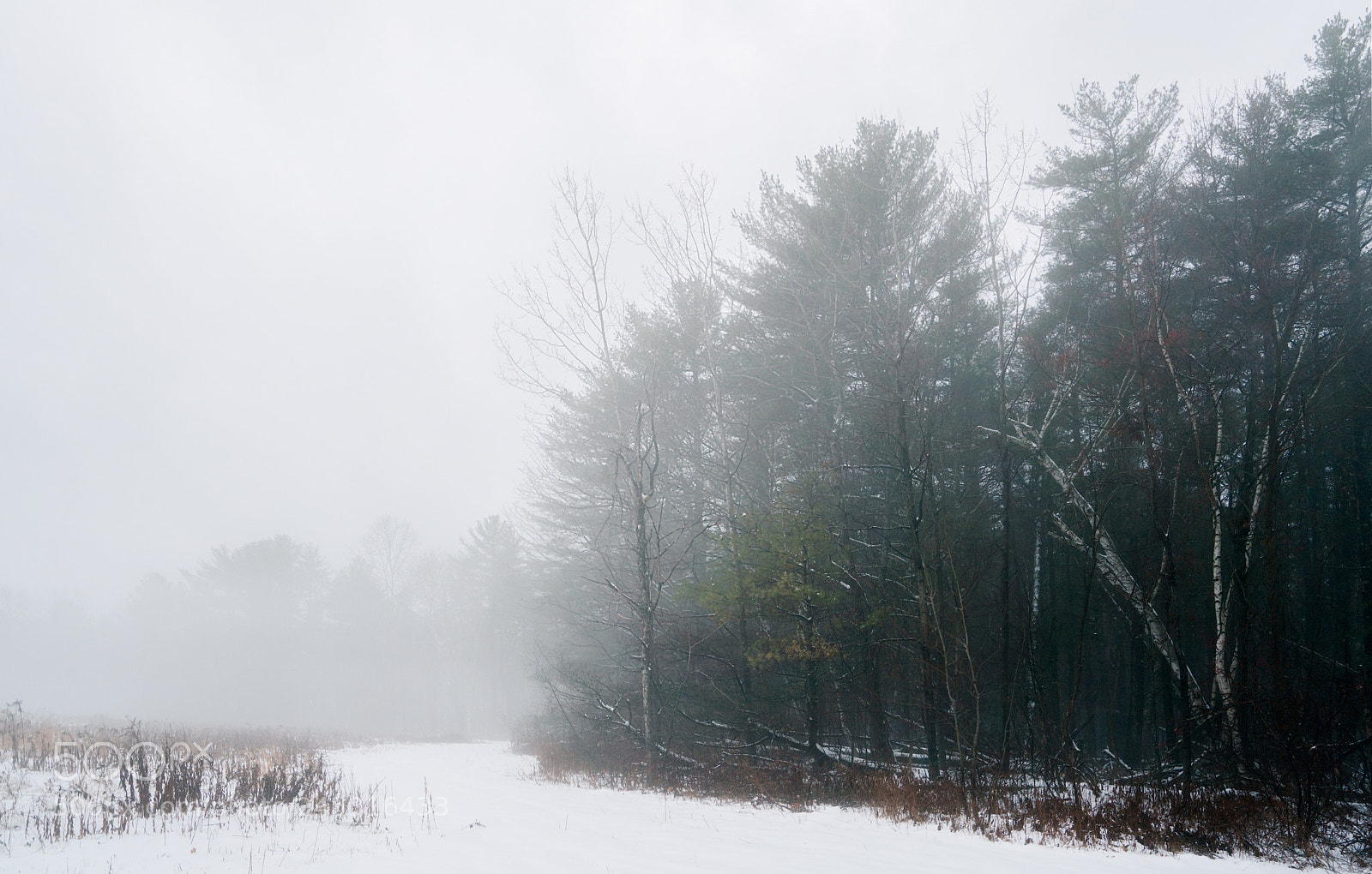 Sony a7R II sample photo. Winter walk photography