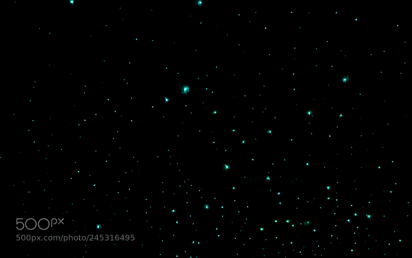Sony a7 sample photo. Waitomo glowworm caves photography