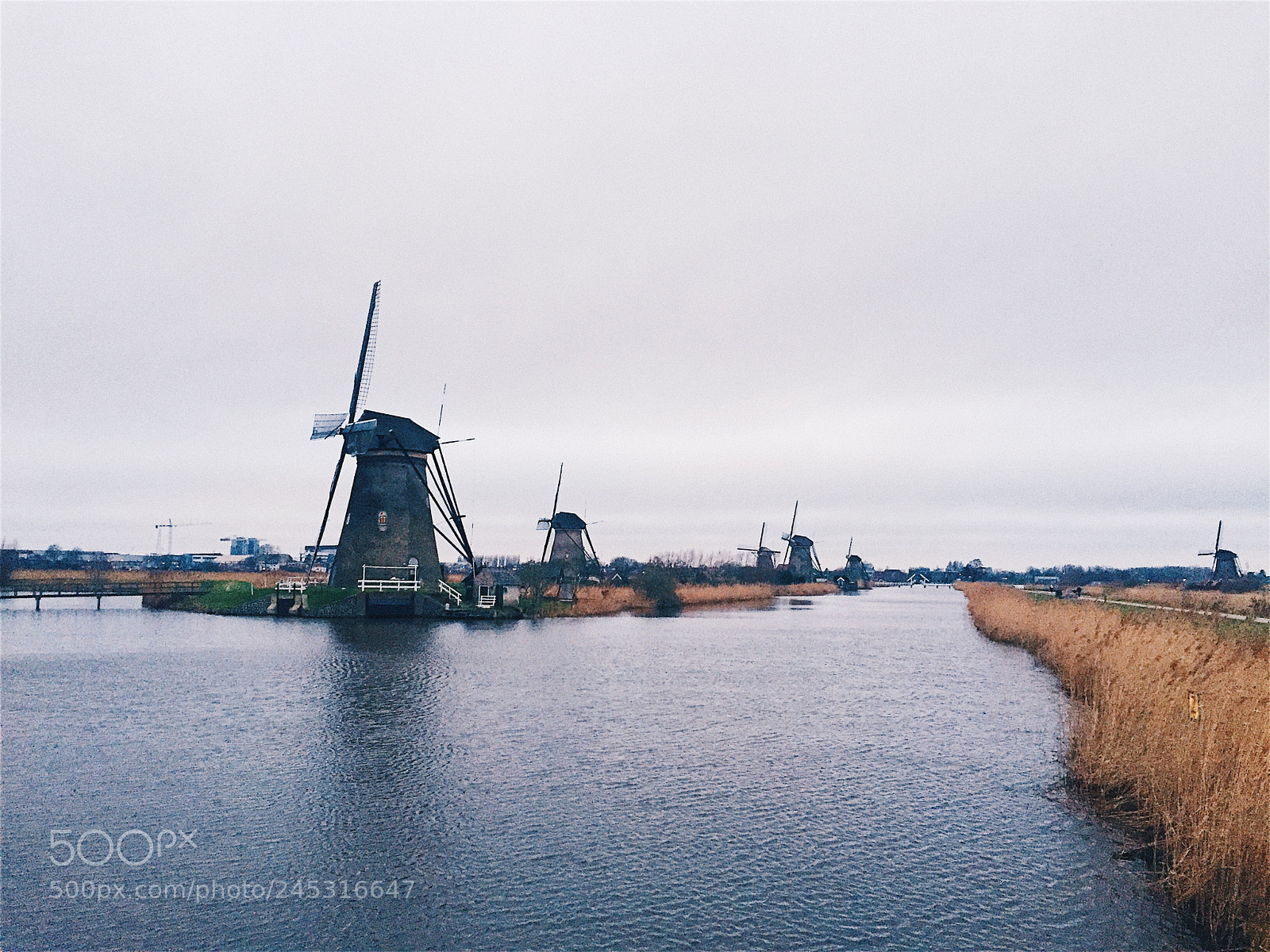 Apple iPhone 6 sample photo. Kinderdijk photography