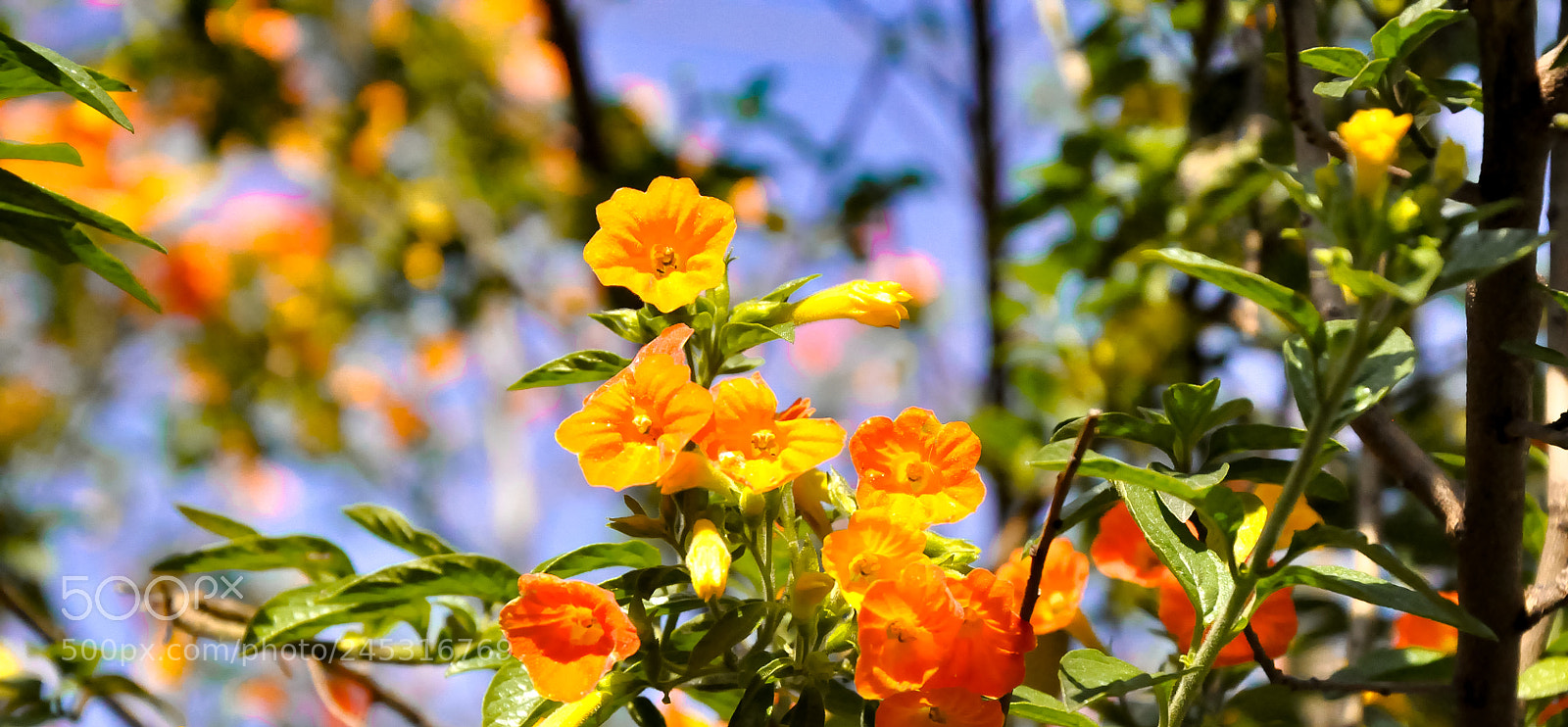 Nikon D90 sample photo. Spring photography