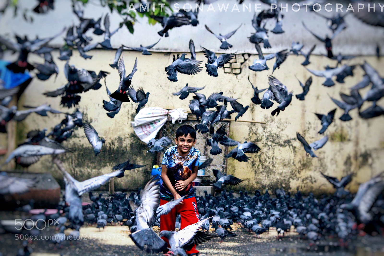 Canon EOS 1200D (EOS Rebel T5 / EOS Kiss X70 / EOS Hi) sample photo. Young boy feeding pigeons photography