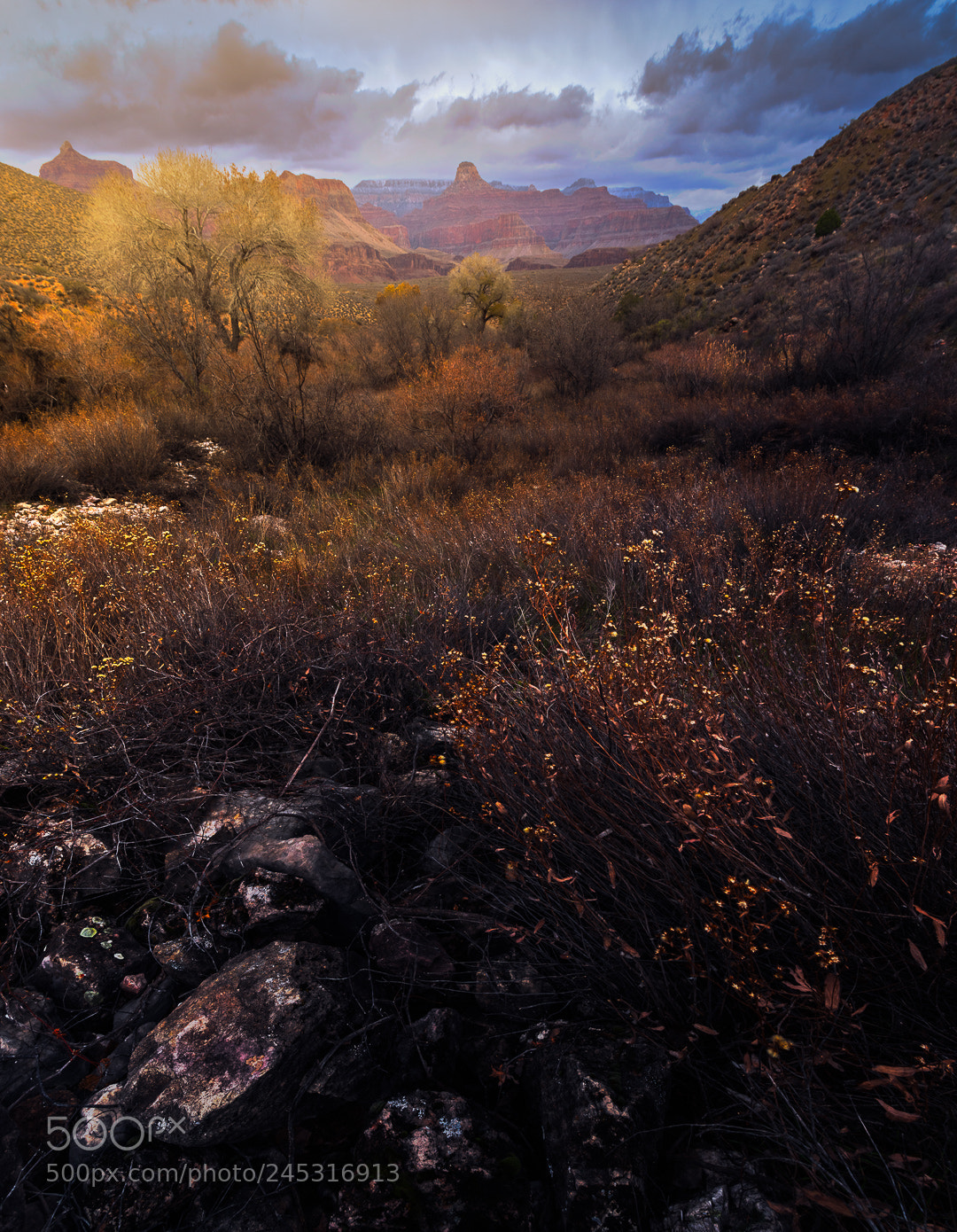 Pentax K-1 sample photo. Grand canyon memories photography