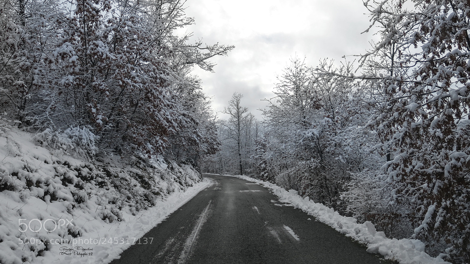Canon PowerShot G3 X sample photo. Winter photography